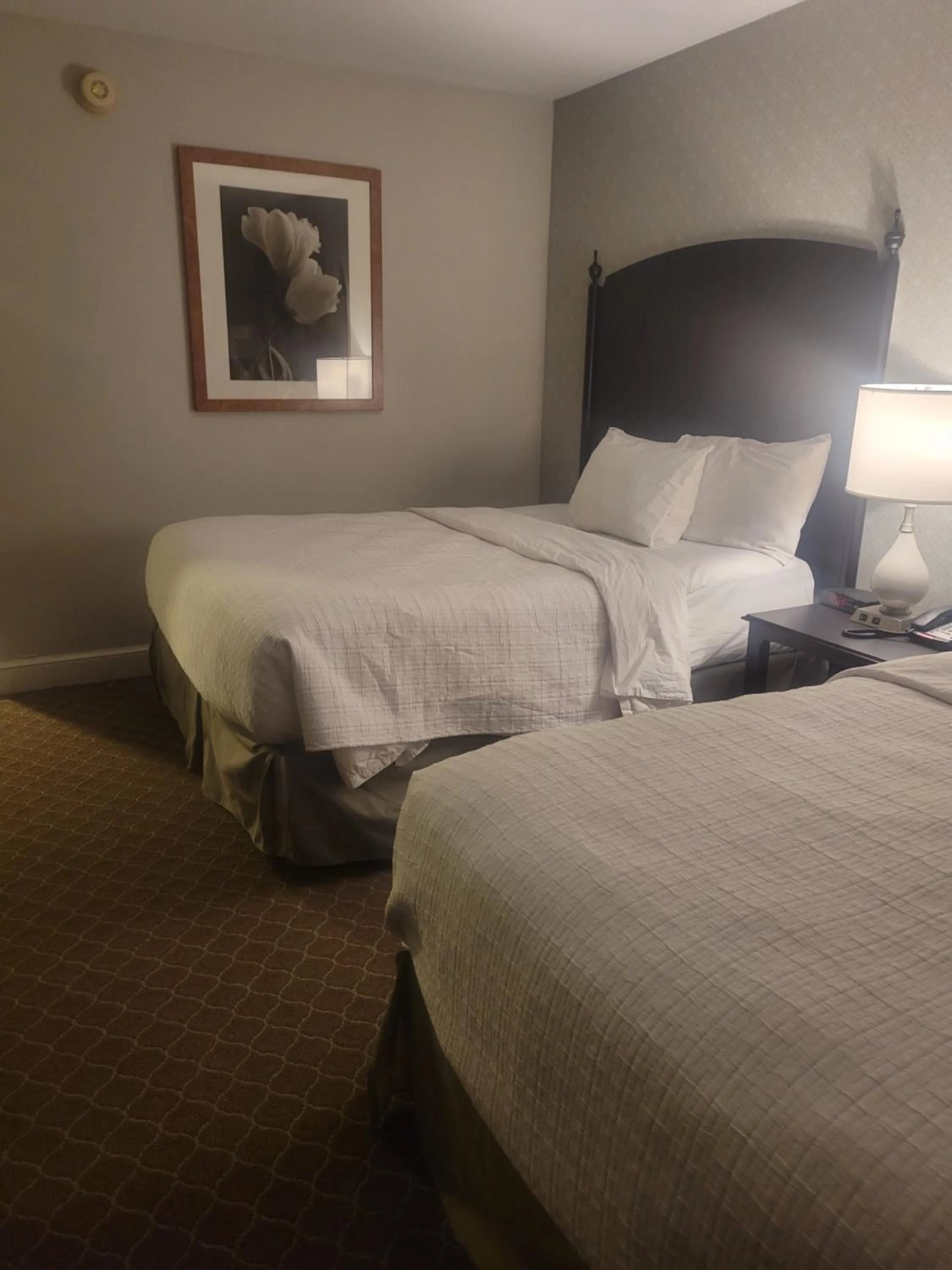 Bed in Natural Bridge Hotel, Trademark Collection by Wyndham