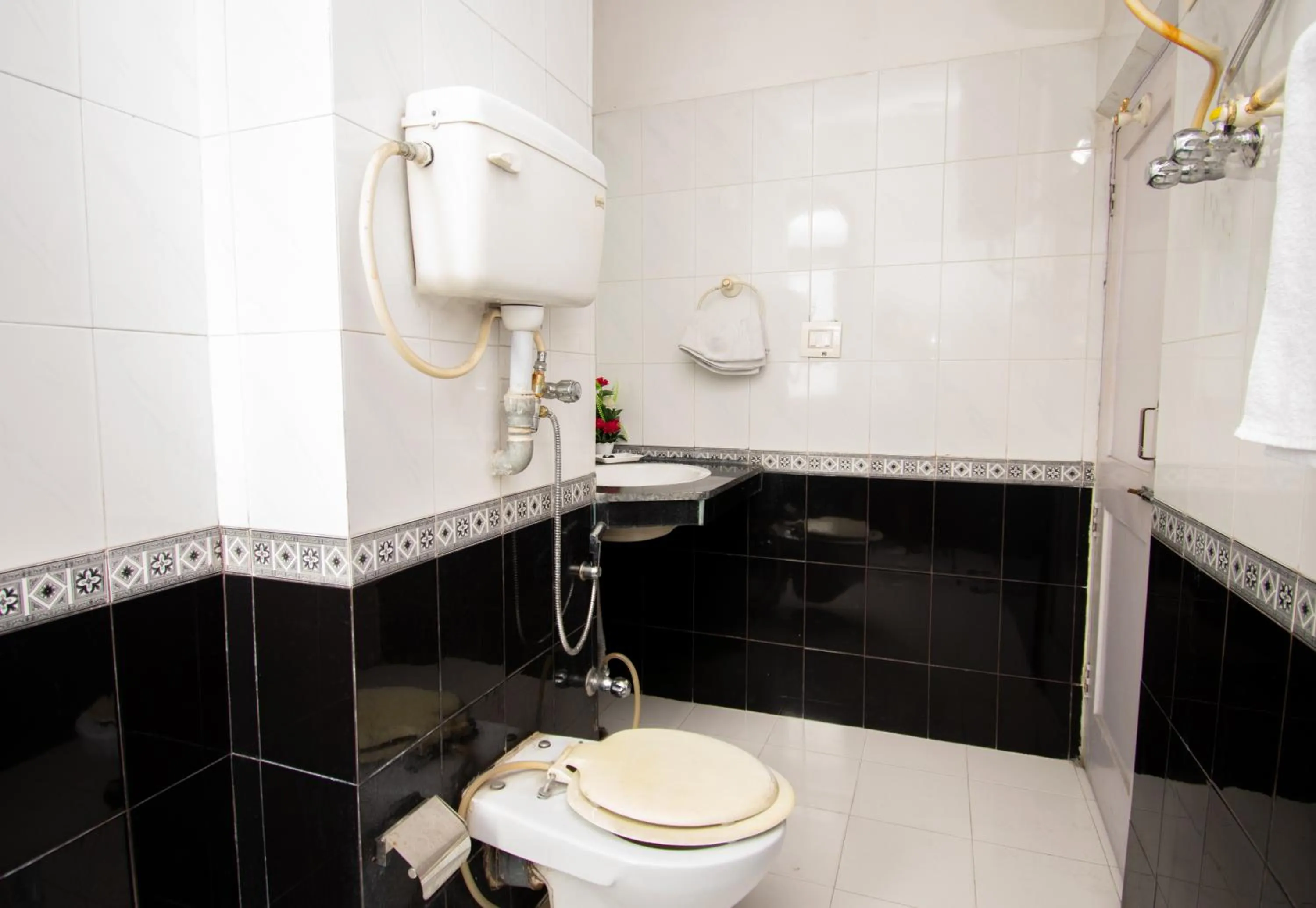 Toilet in Octave Himalayan Hamlet