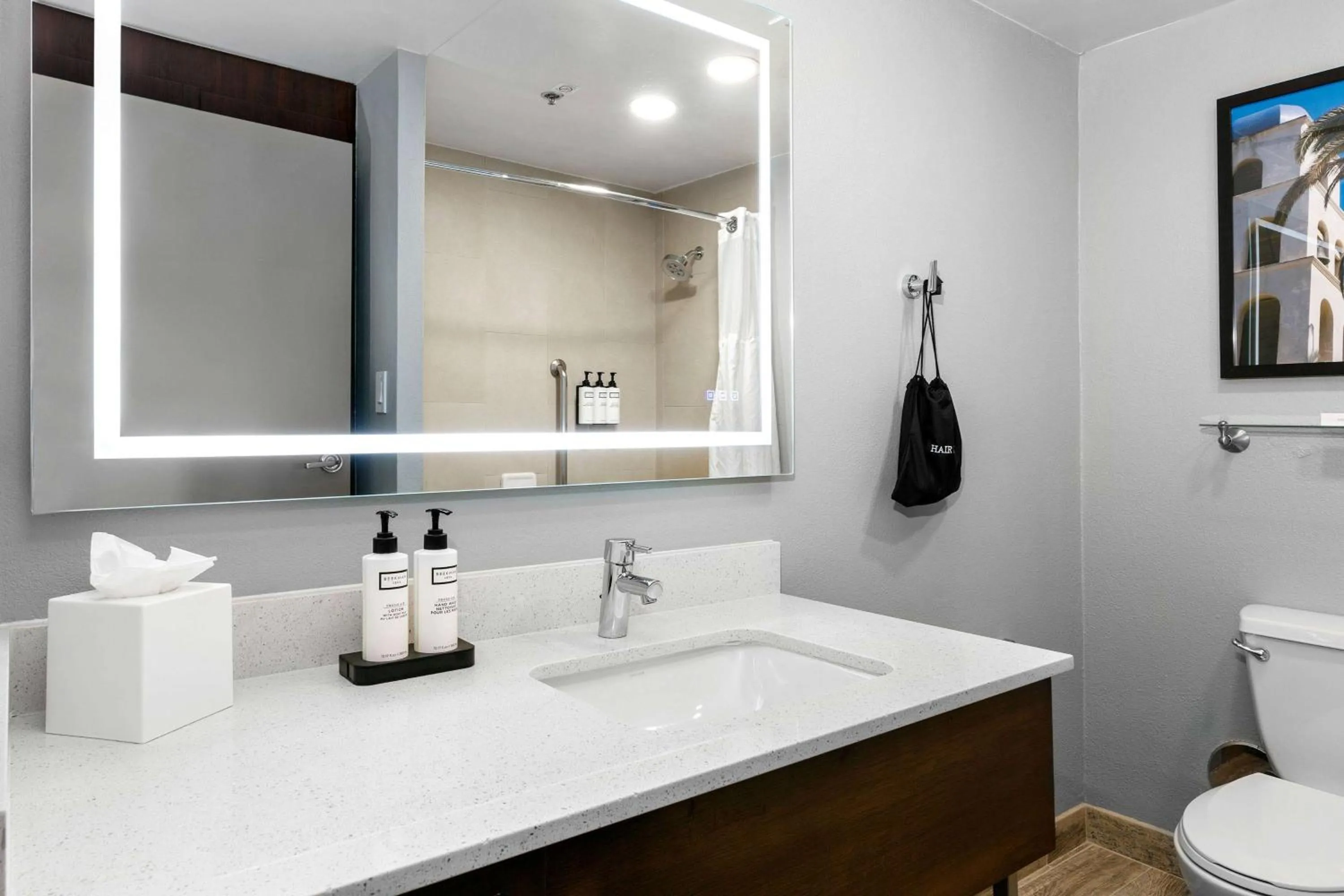 Photo of the whole room in Wyndham San Diego Bayside