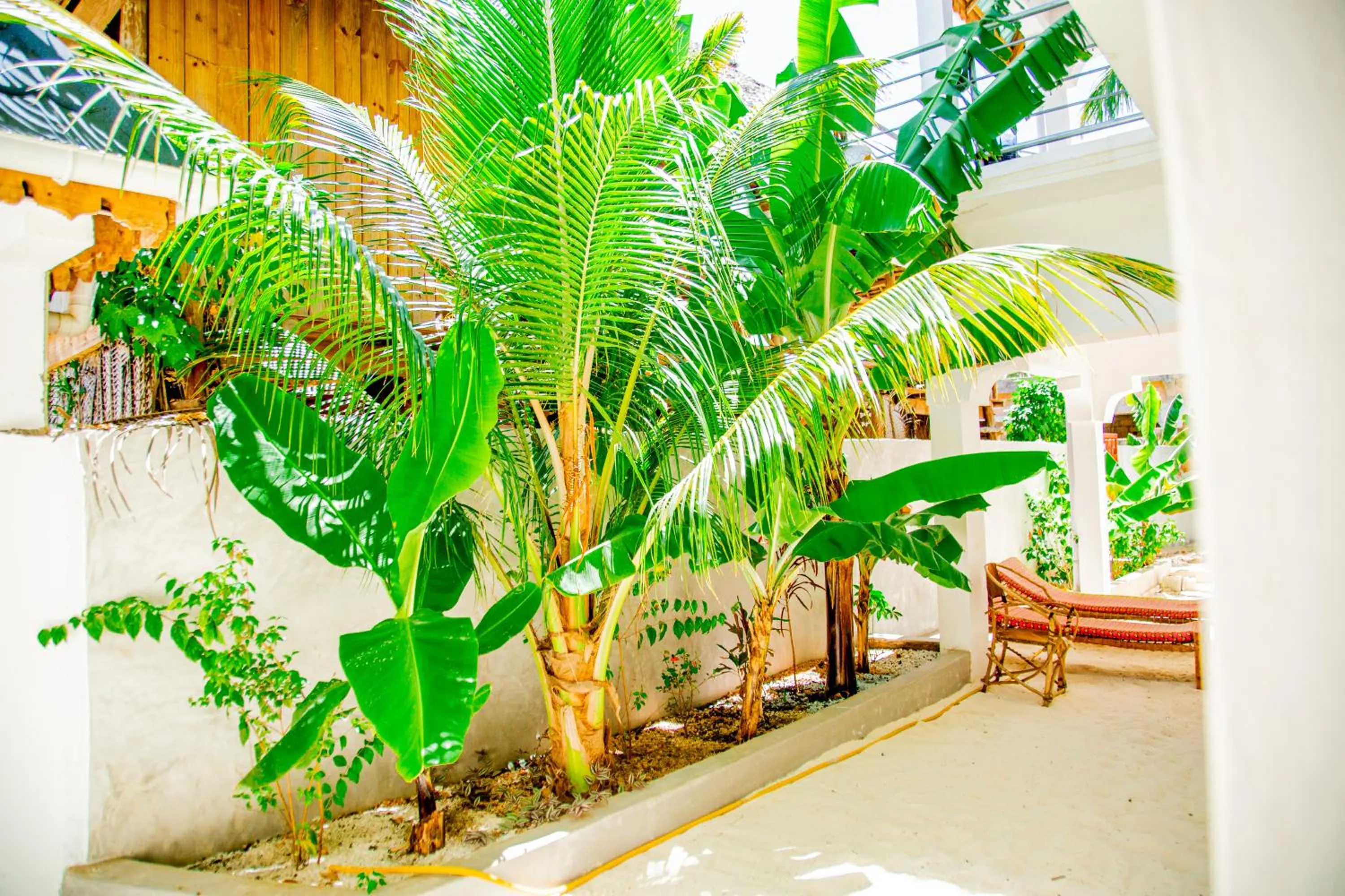 Garden in Pamoja Beach Stays Hotel in Jambiani