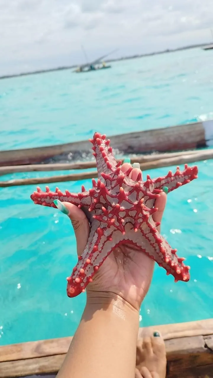 Day in Pamoja Beach Stays Hotel in Jambiani