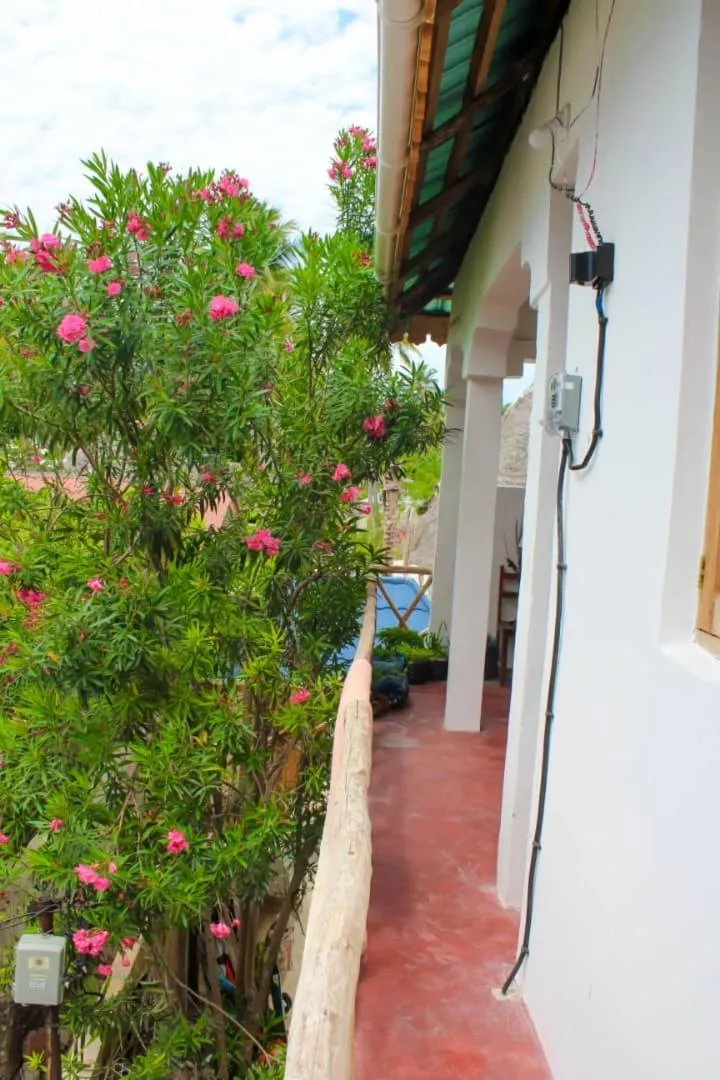 Day in Pamoja Beach Stays Hotel in Jambiani