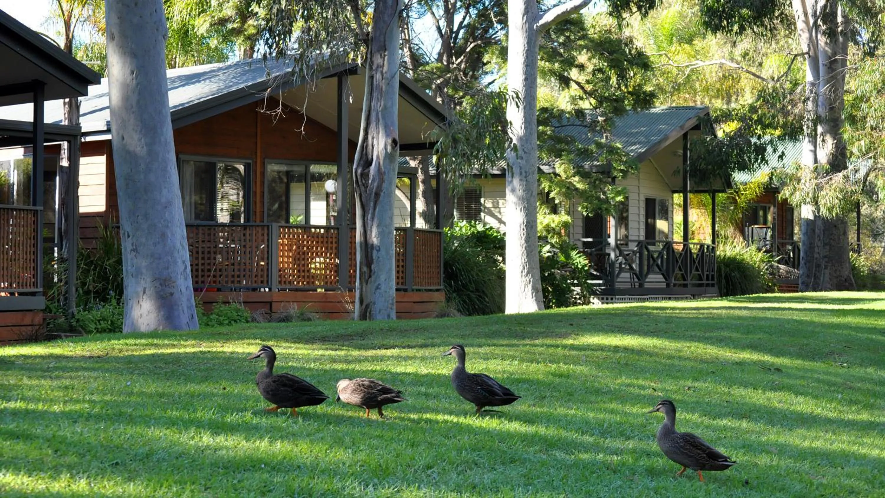 Garden in Marion Holiday Park