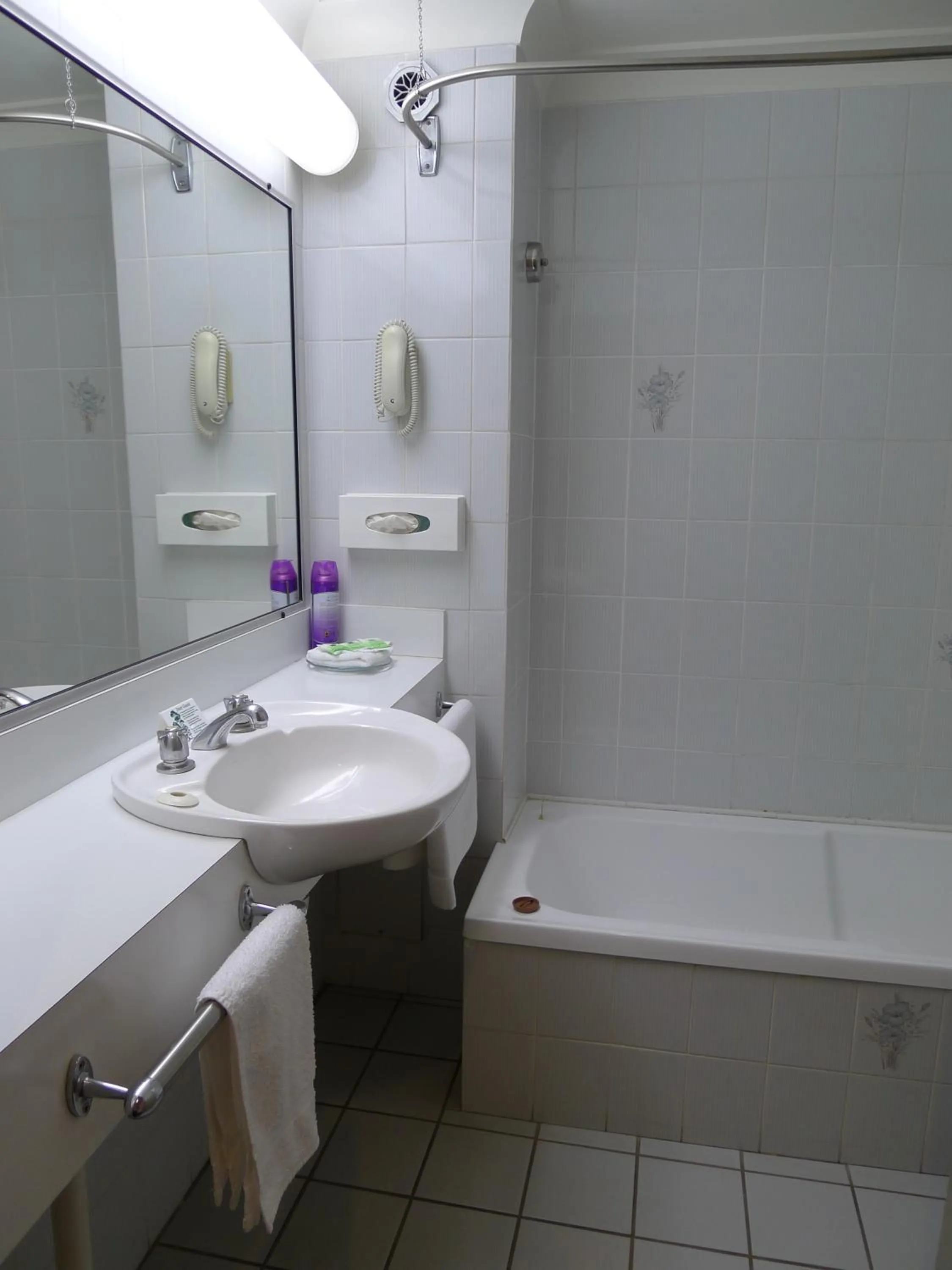 Bathroom in New England Motor Inn