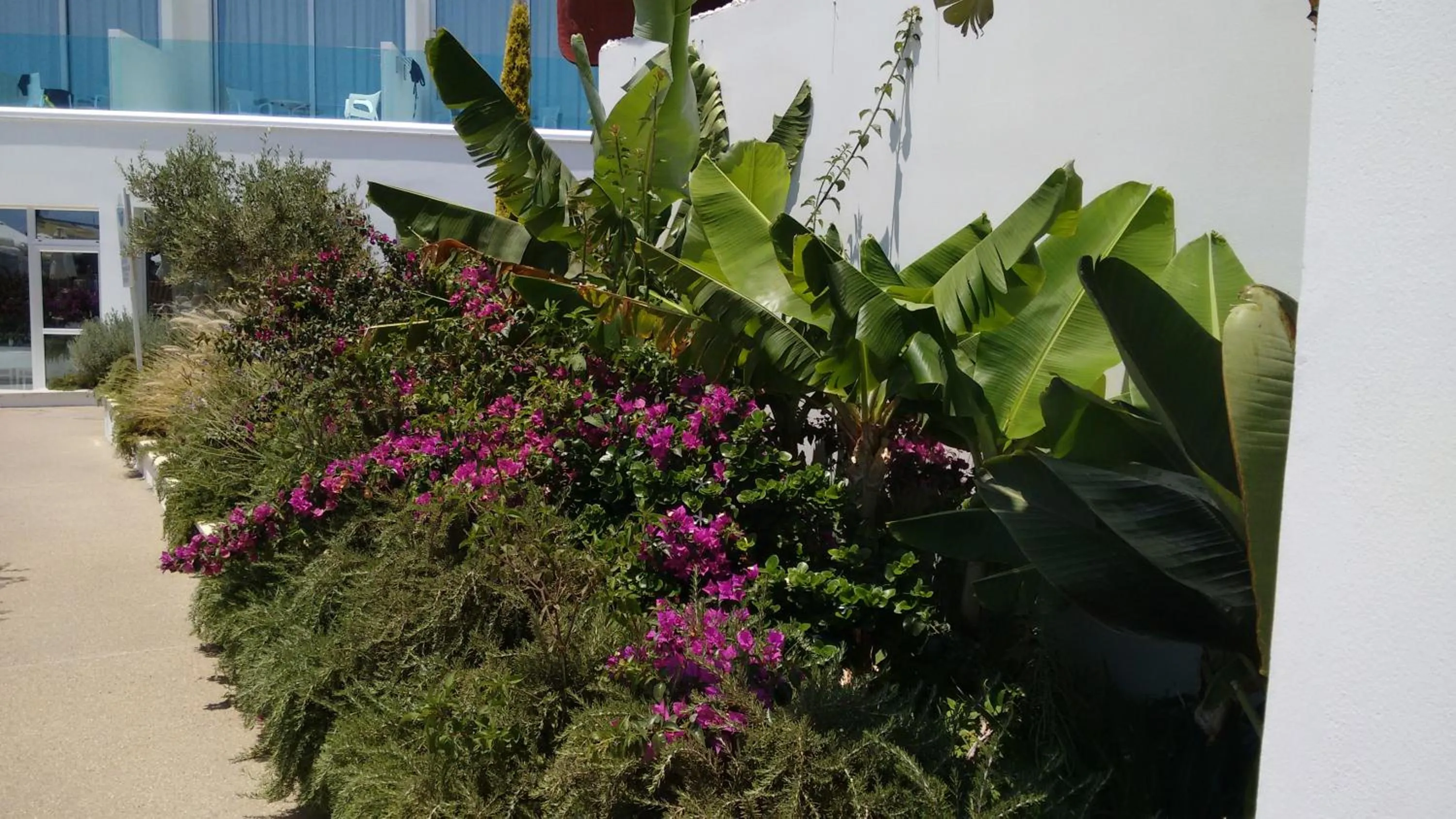 Garden in Vrissaki Beach Hotel