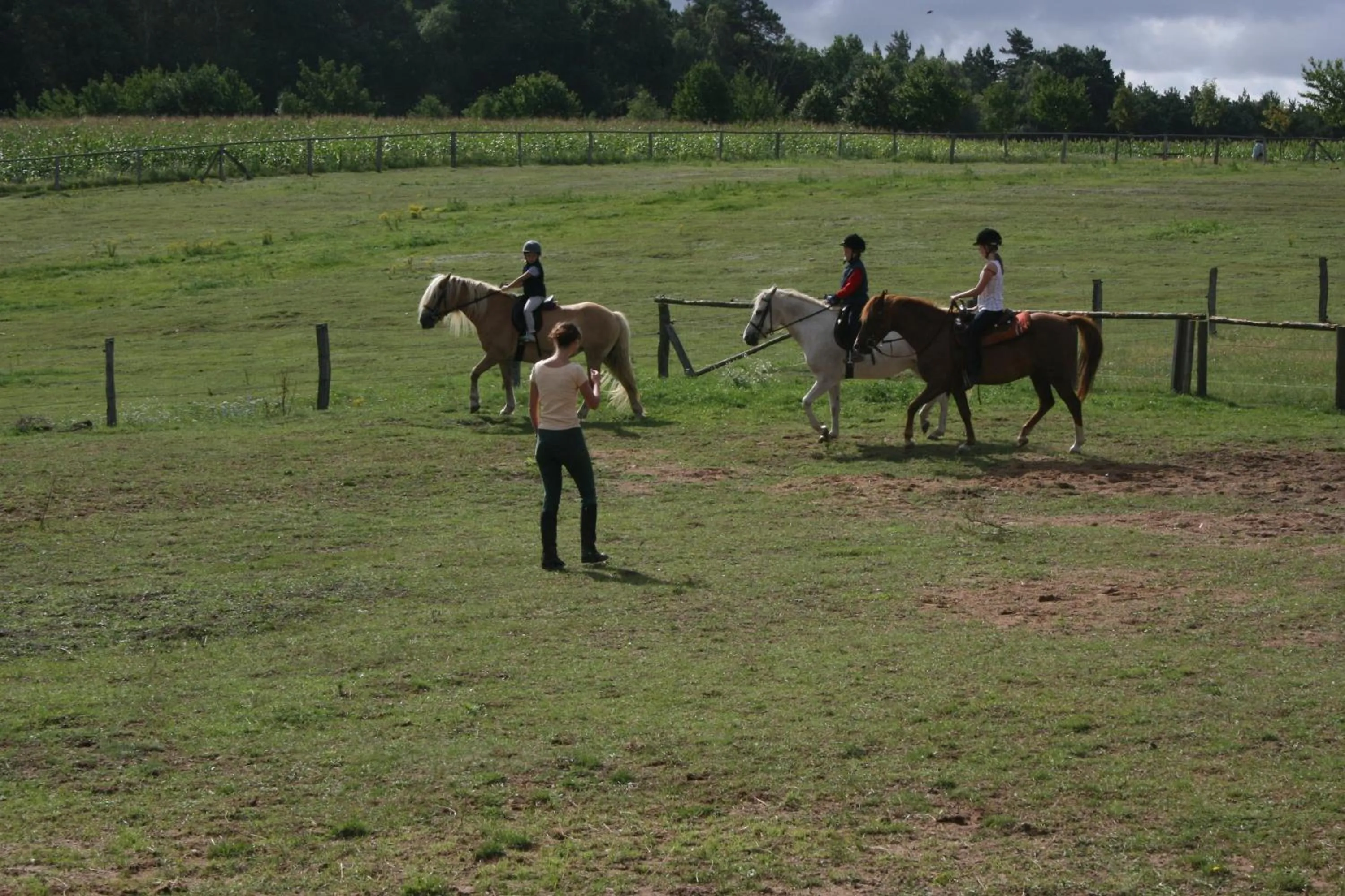 Horse-riding in Kur-& Landhotel Borstel - Treff
