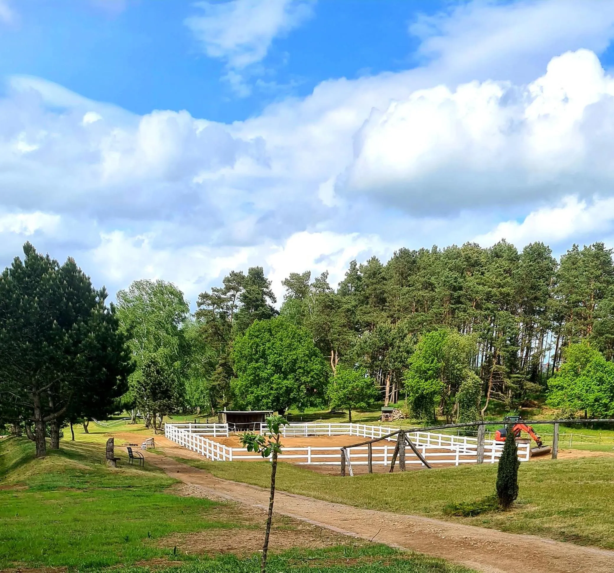 Horse-riding in Kur-& Landhotel Borstel - Treff