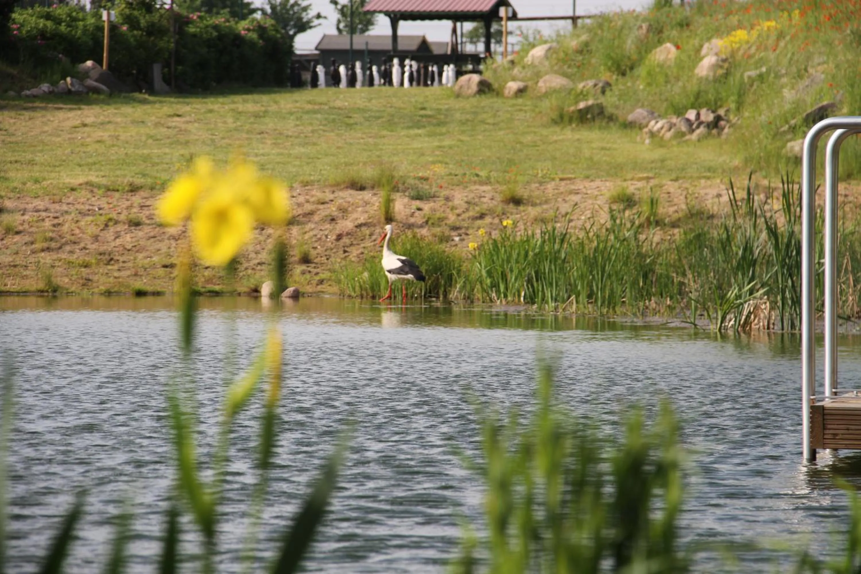 Beach in Kur-& Landhotel Borstel - Treff