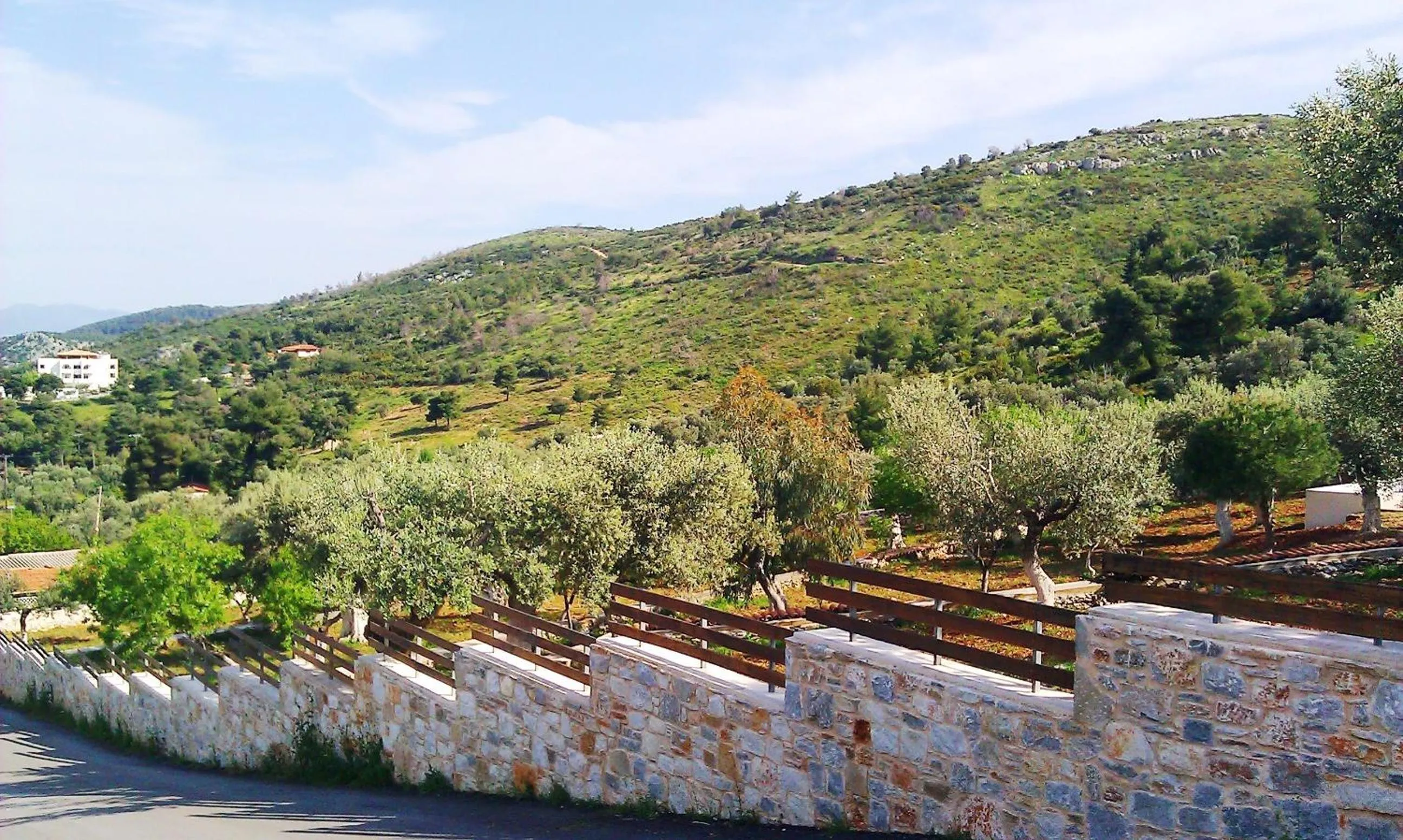 Garden view in Villa Konaki