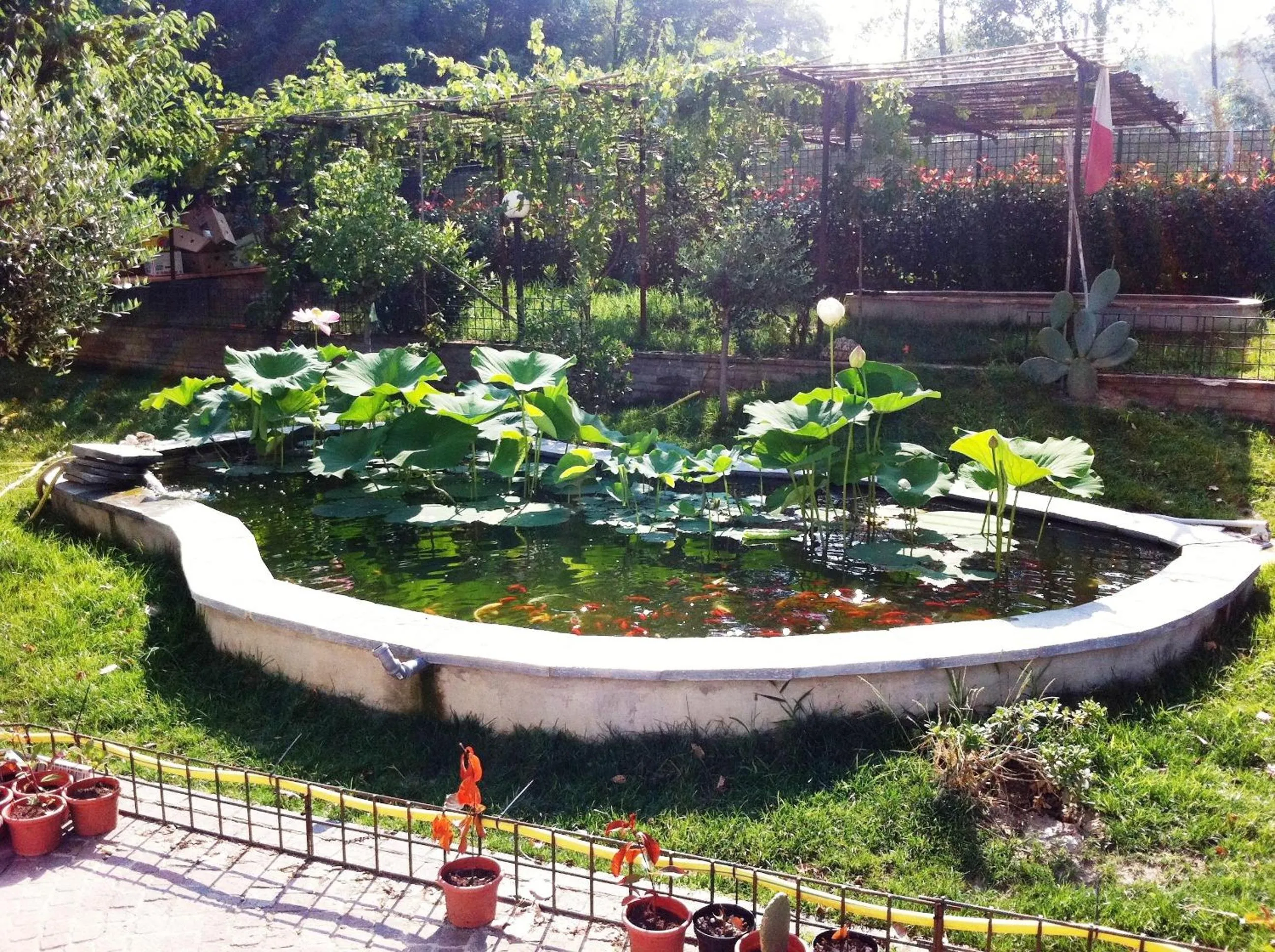 Garden in B&B Simona