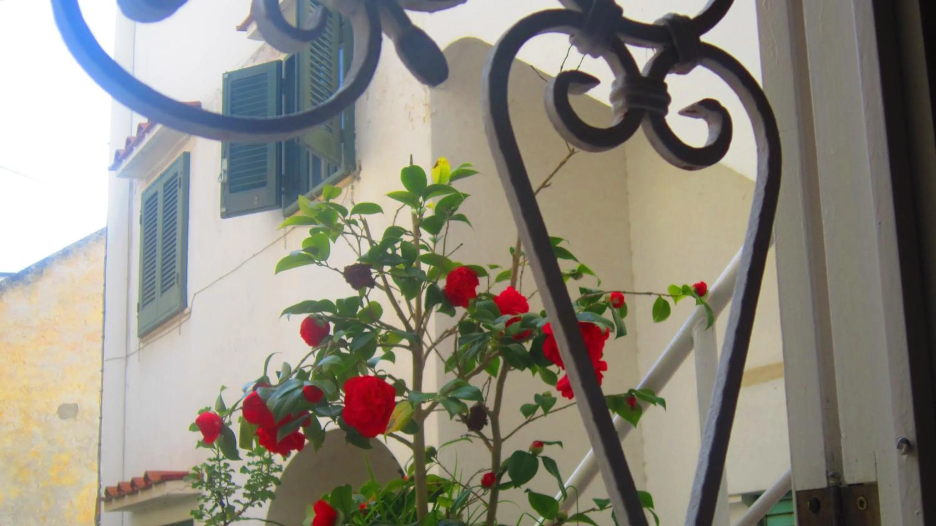 Decorative detail in Villa Apollo B&B