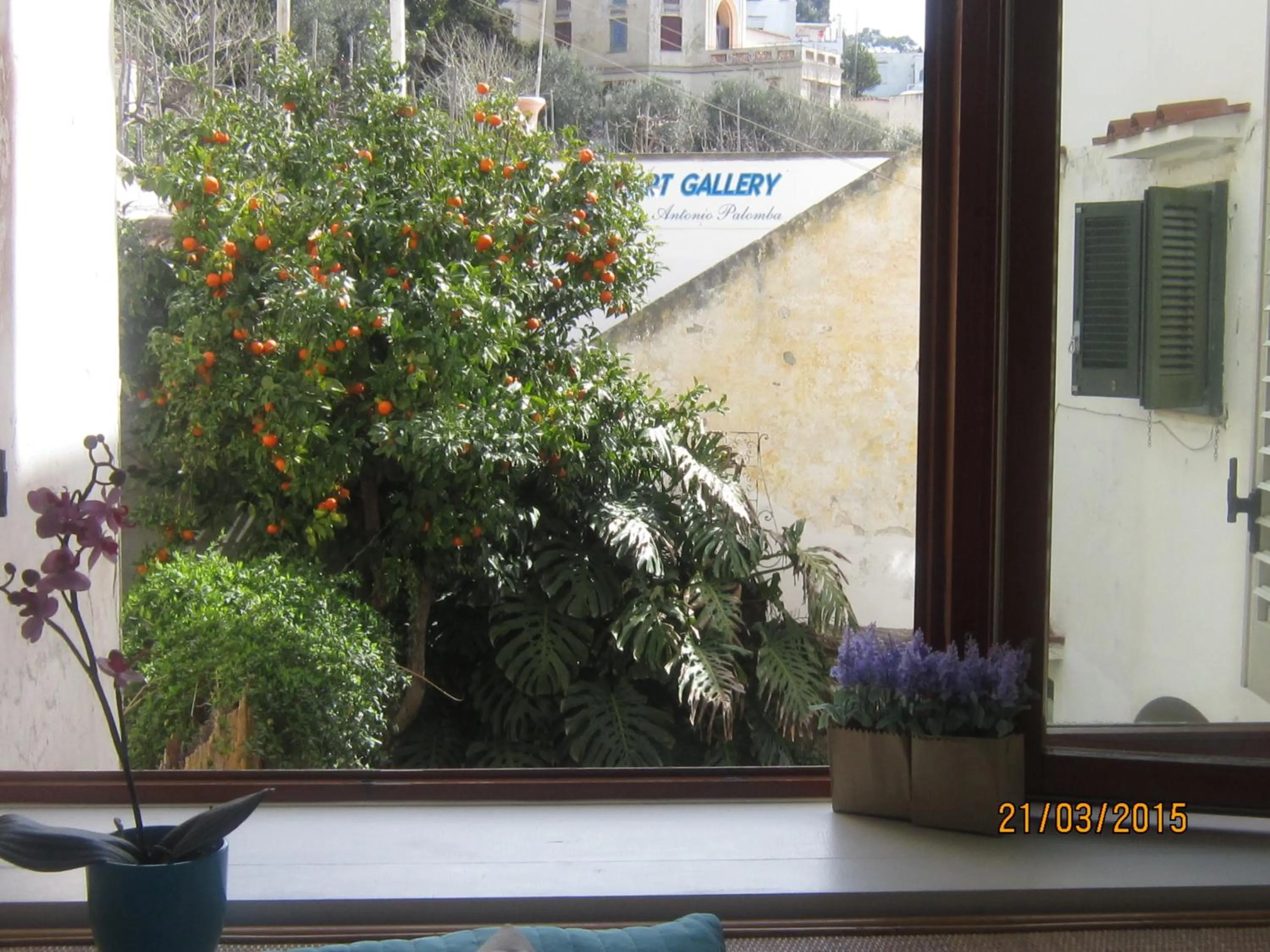 Garden view in Villa Apollo B&B