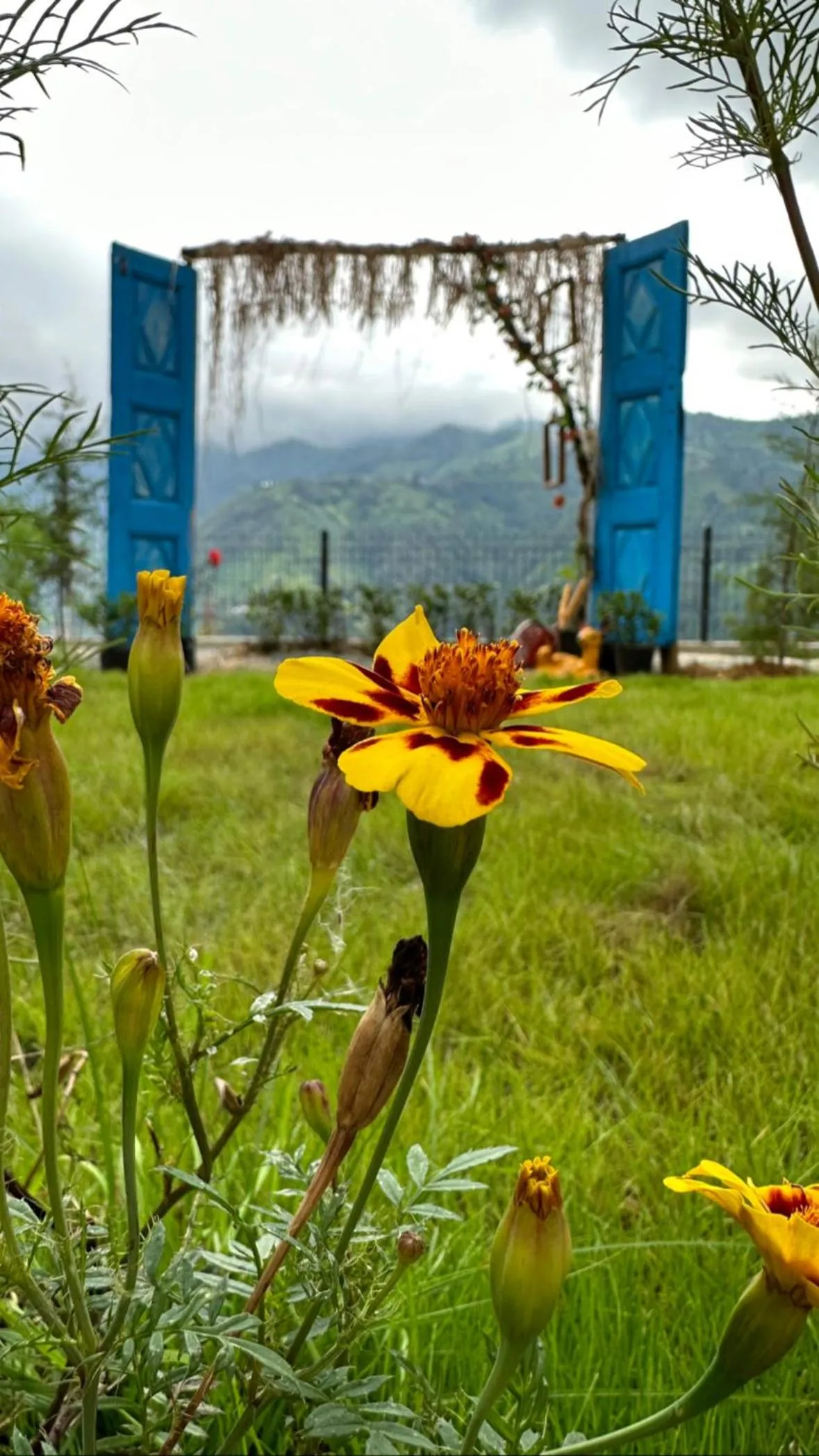 Garden in Cile Vadi Bungalov