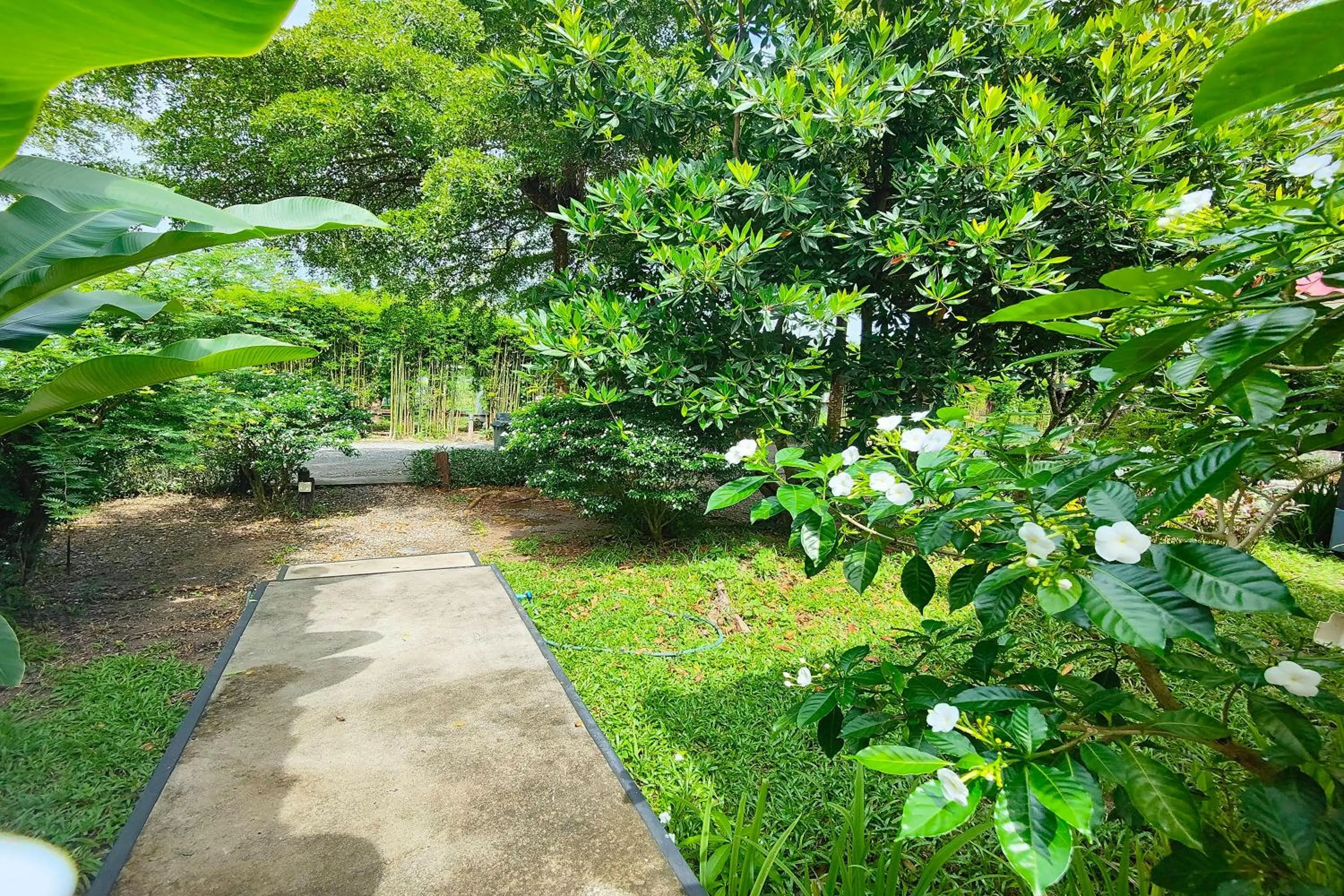 Day in The Creek Resort