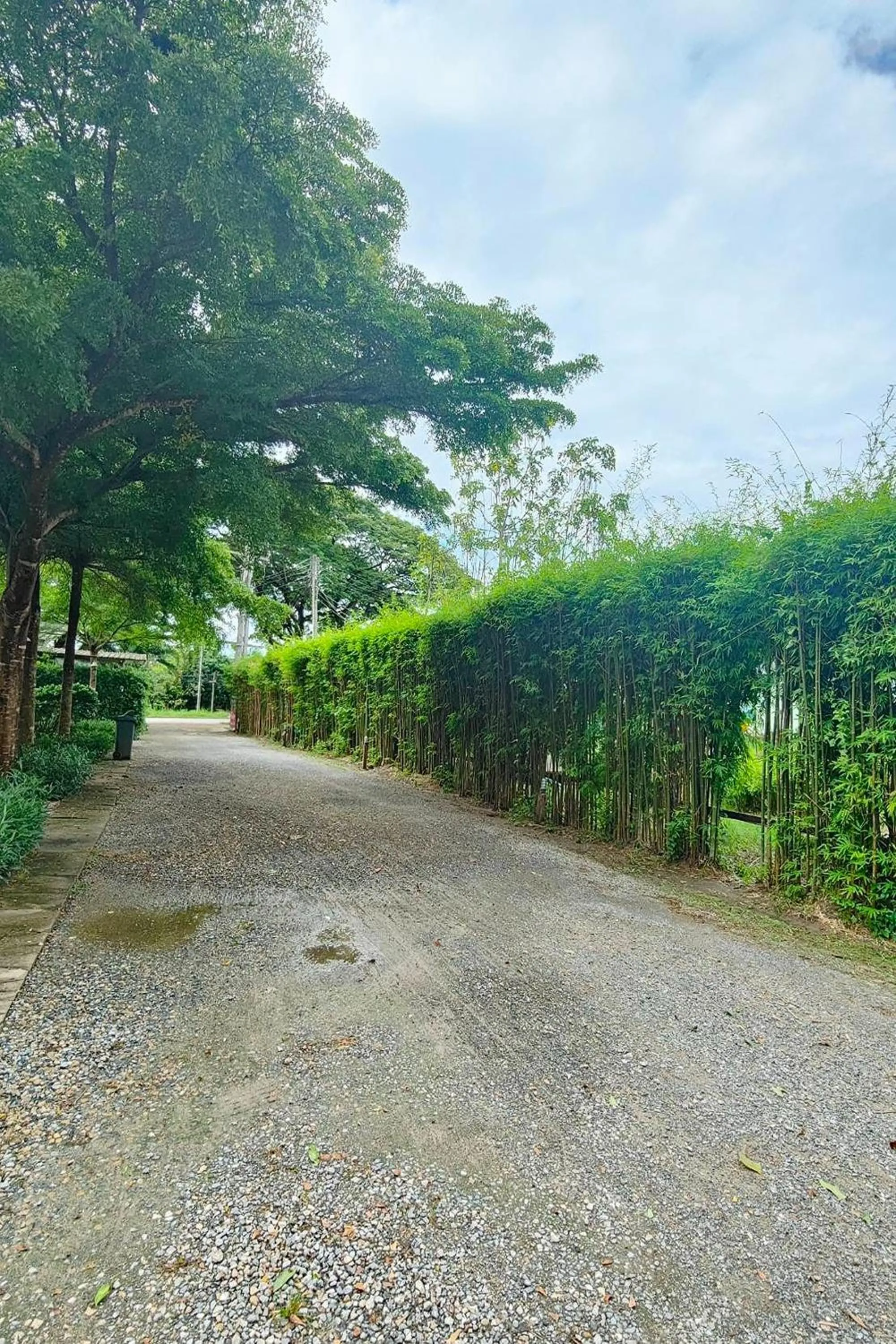 Spring in The Creek Resort