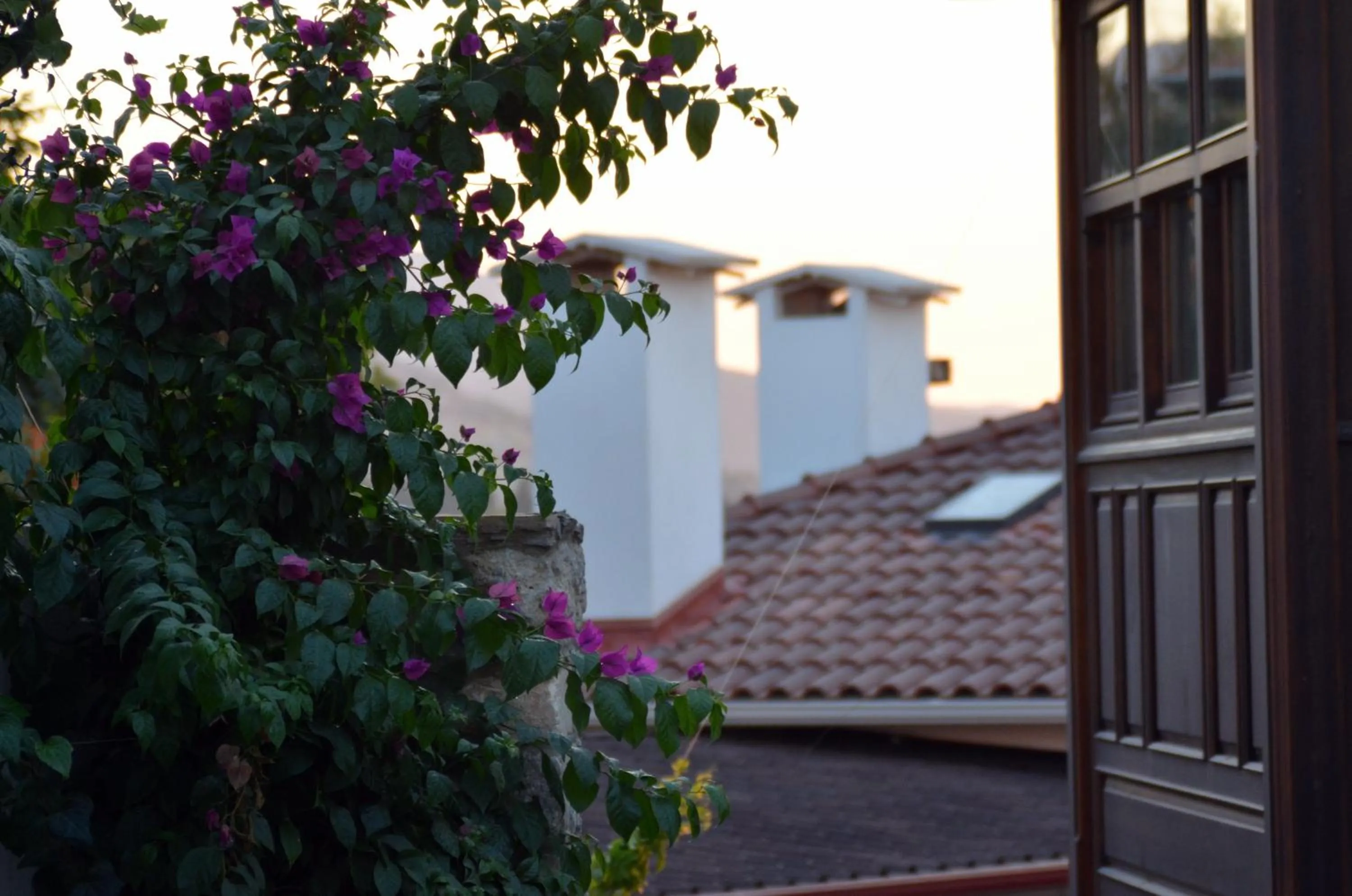 Garden in Ayasoluk Hotel & Restaurant