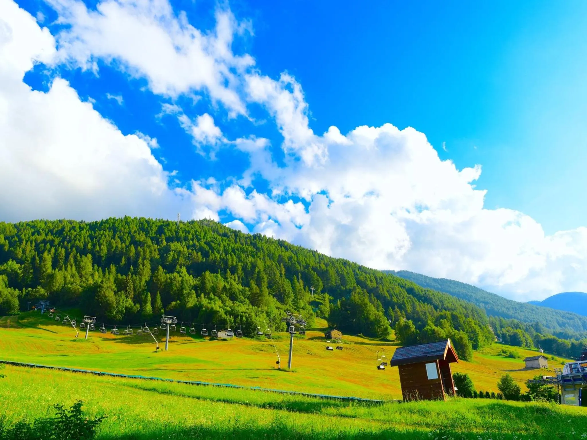 Neighbourhood in Hotel Ginepro