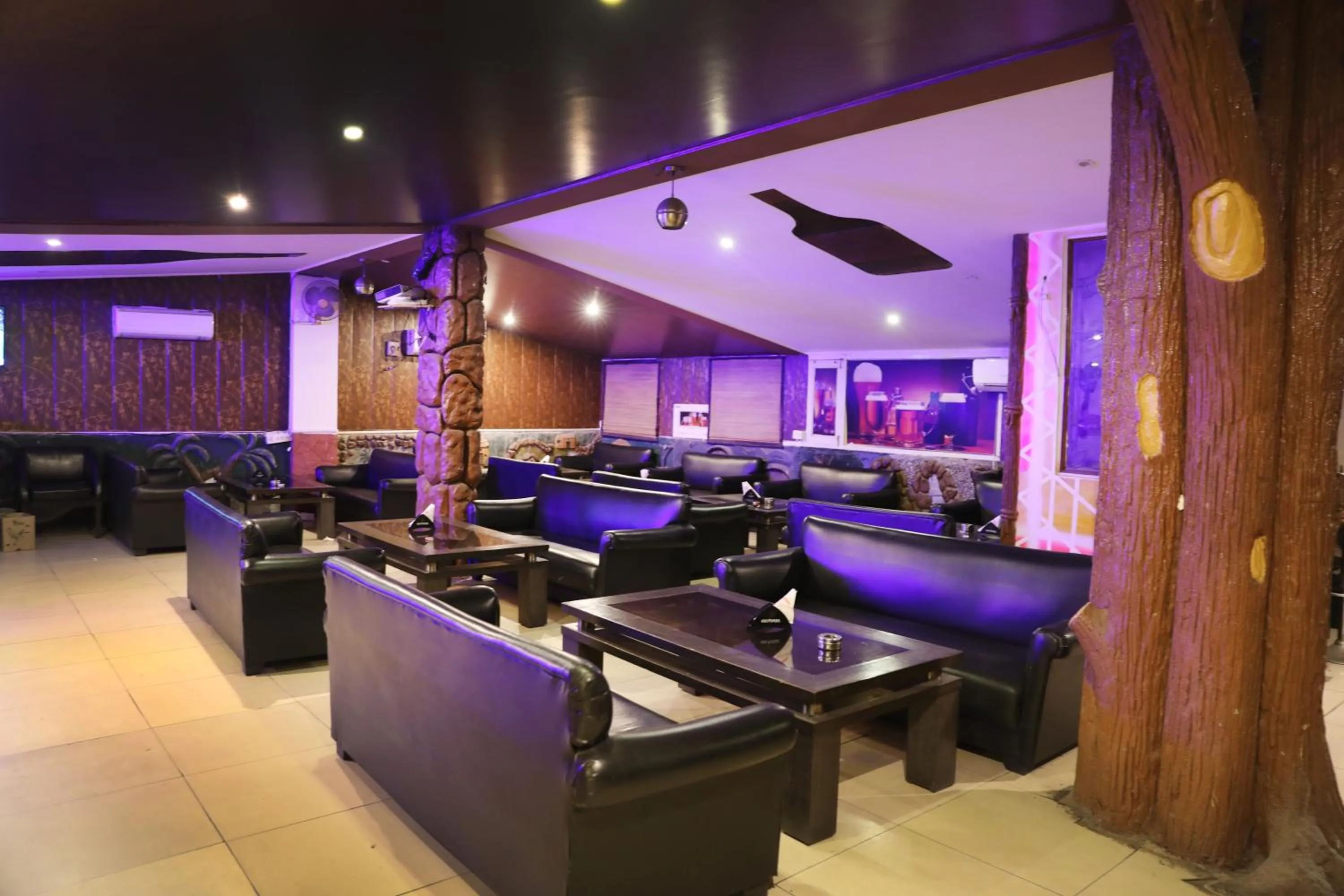 Lounge or bar in The Byke Boutique - Hotel Grassfield, Jaipur