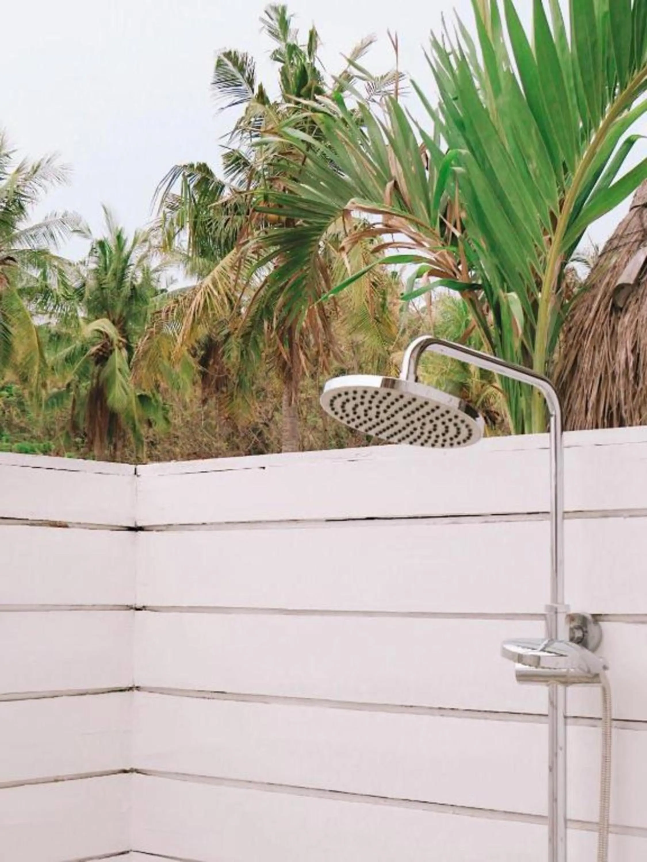 Day in Love Coconut Bungalow