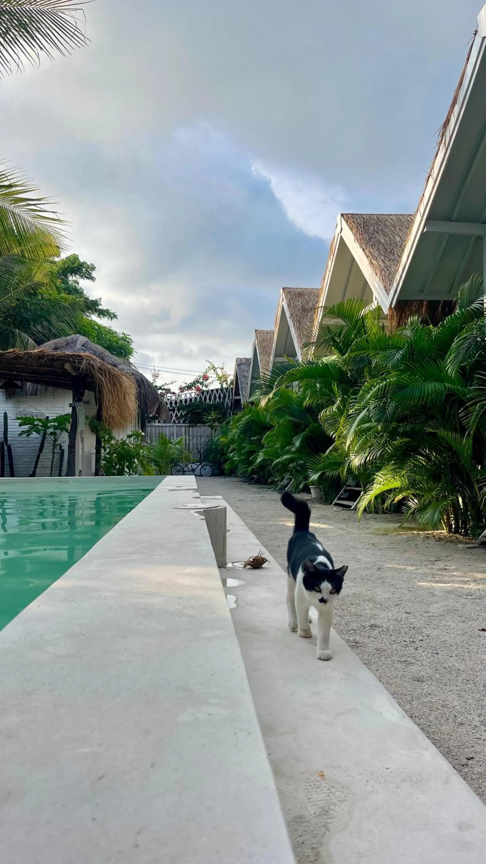 Love Coconut Bungalow