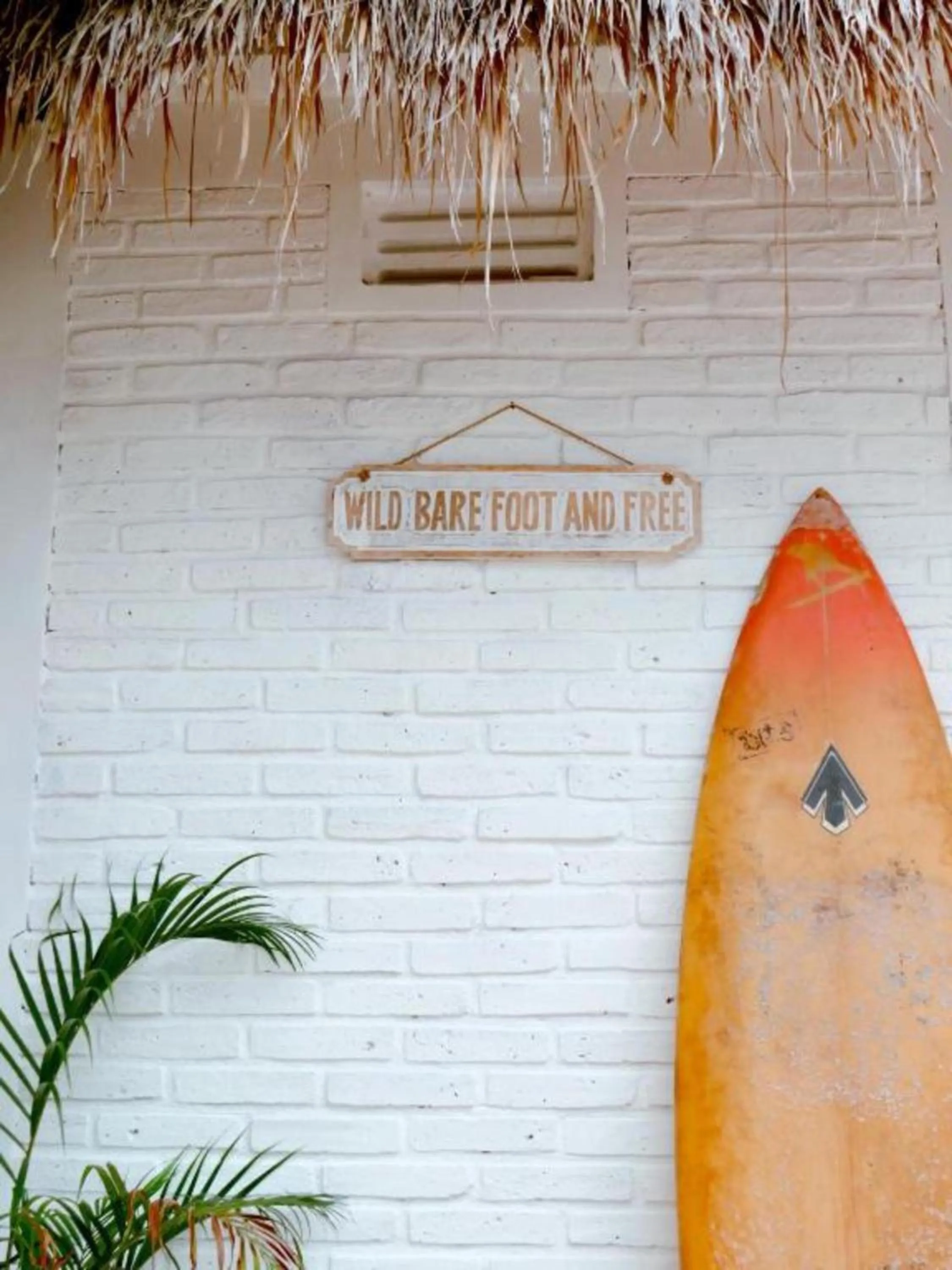 Day in Love Coconut Bungalow