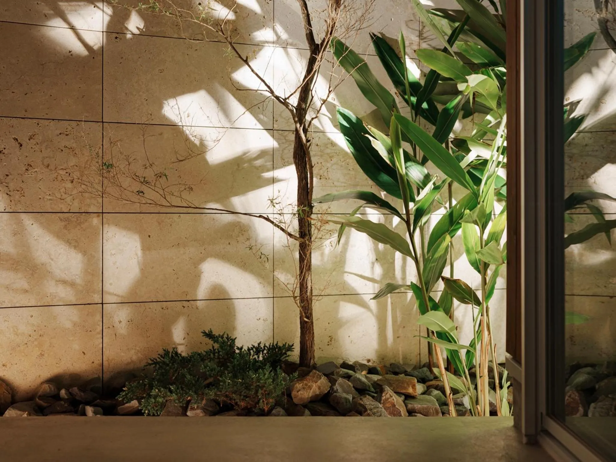 Photo of the whole room in Tanegashima Araki Bekkan