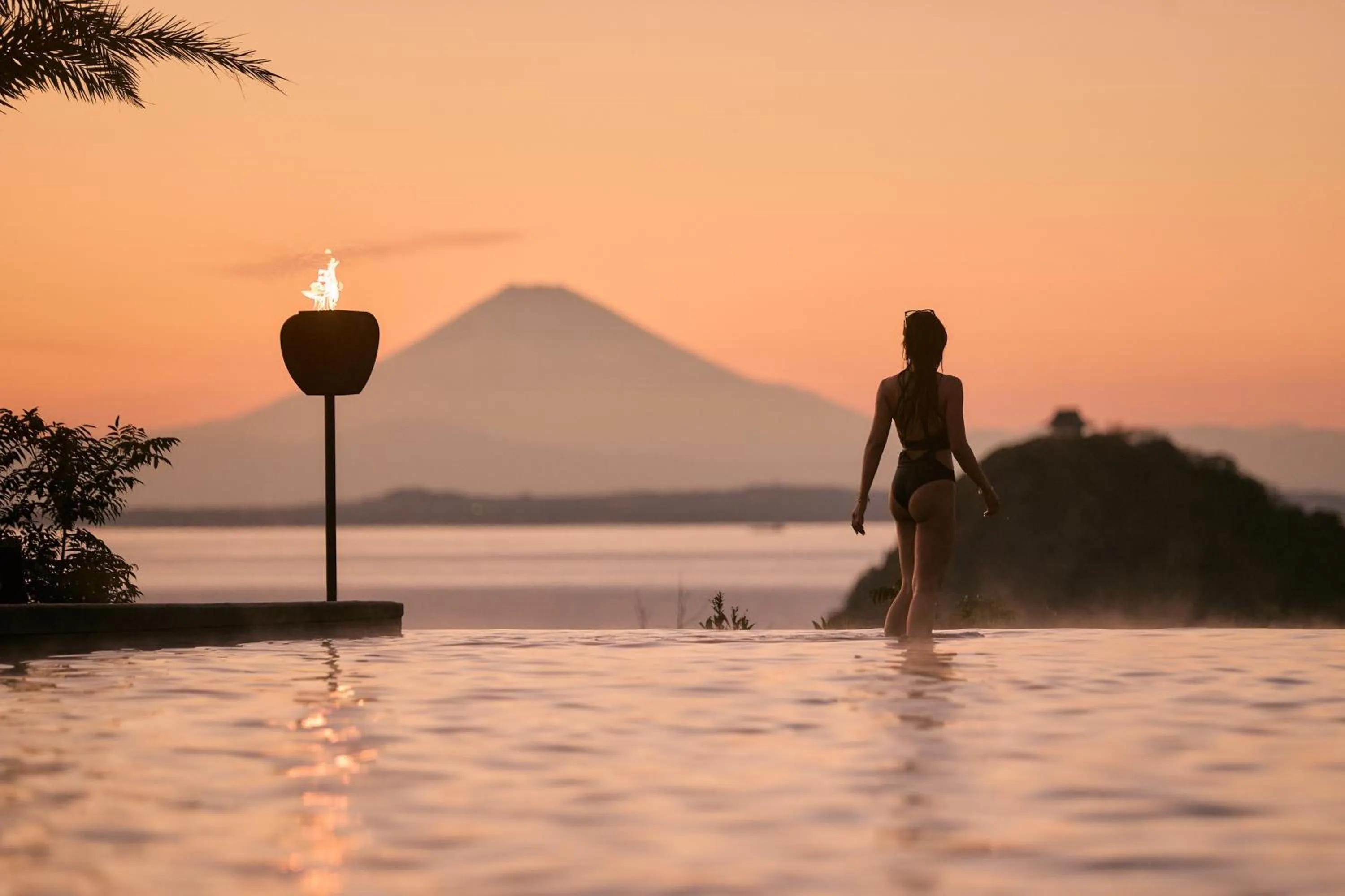 Natural landscape in BOTANICAL POOL CLUB