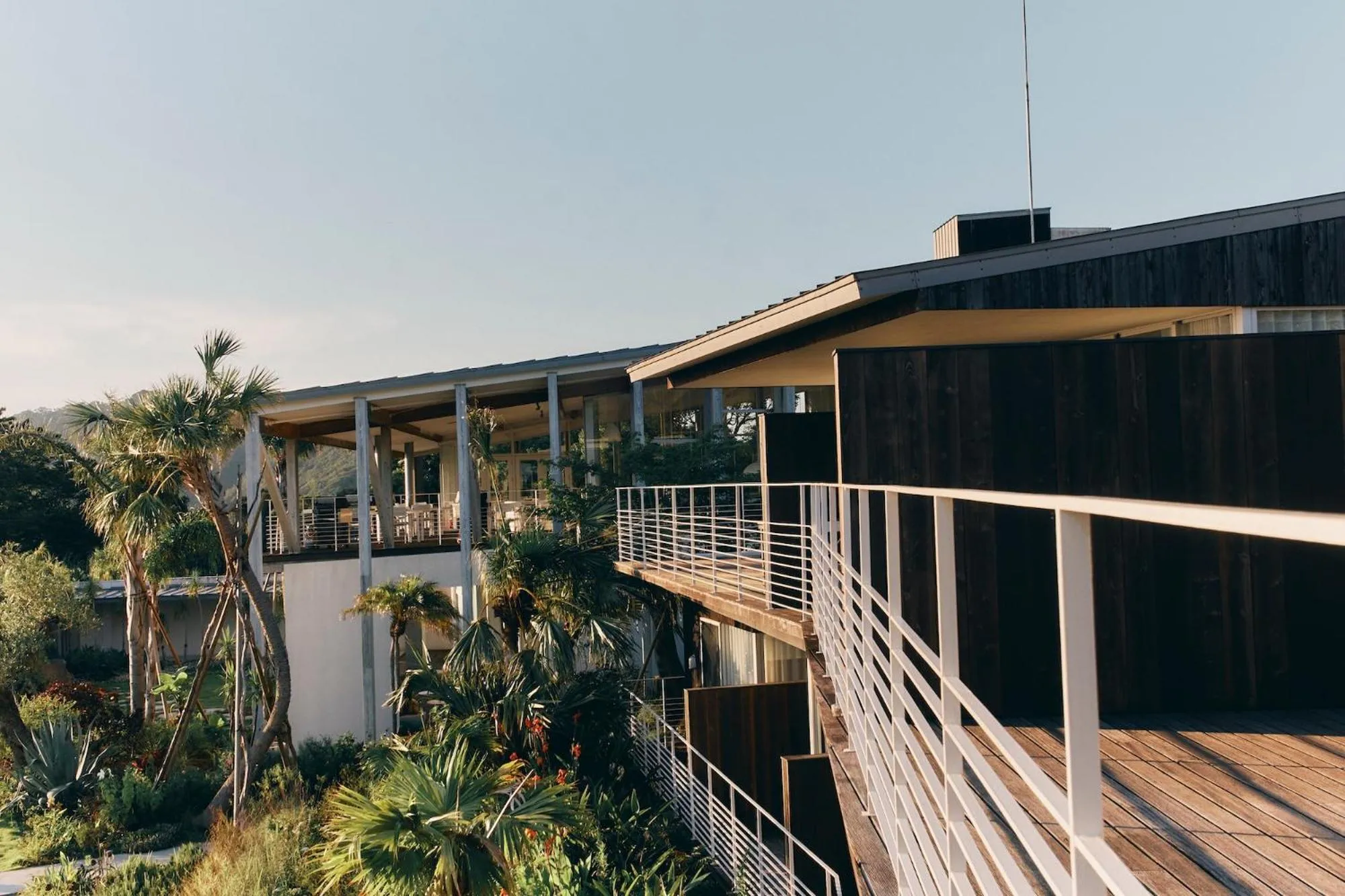 Balcony/Terrace in BOTANICAL POOL CLUB