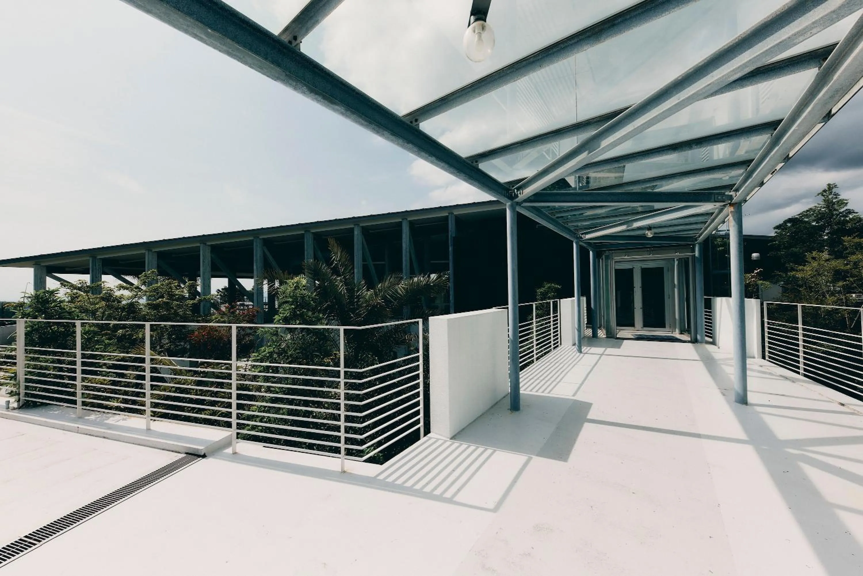 Day in BOTANICAL POOL CLUB