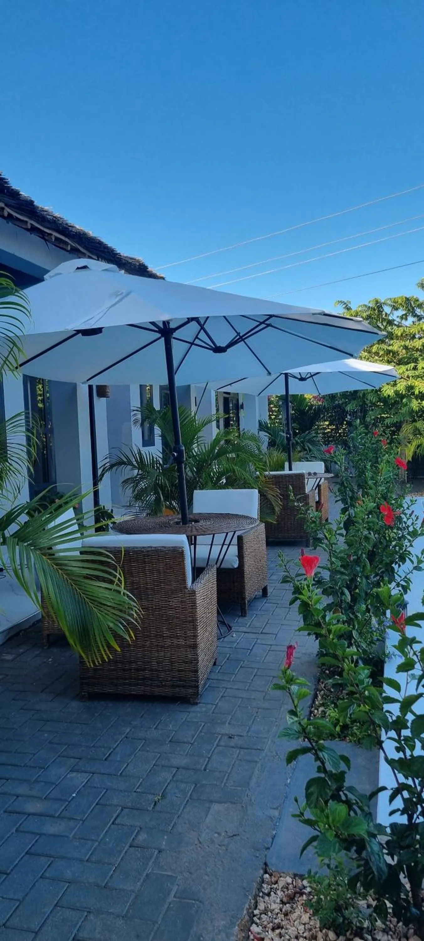 Property building in Terry's Villa Nungwi