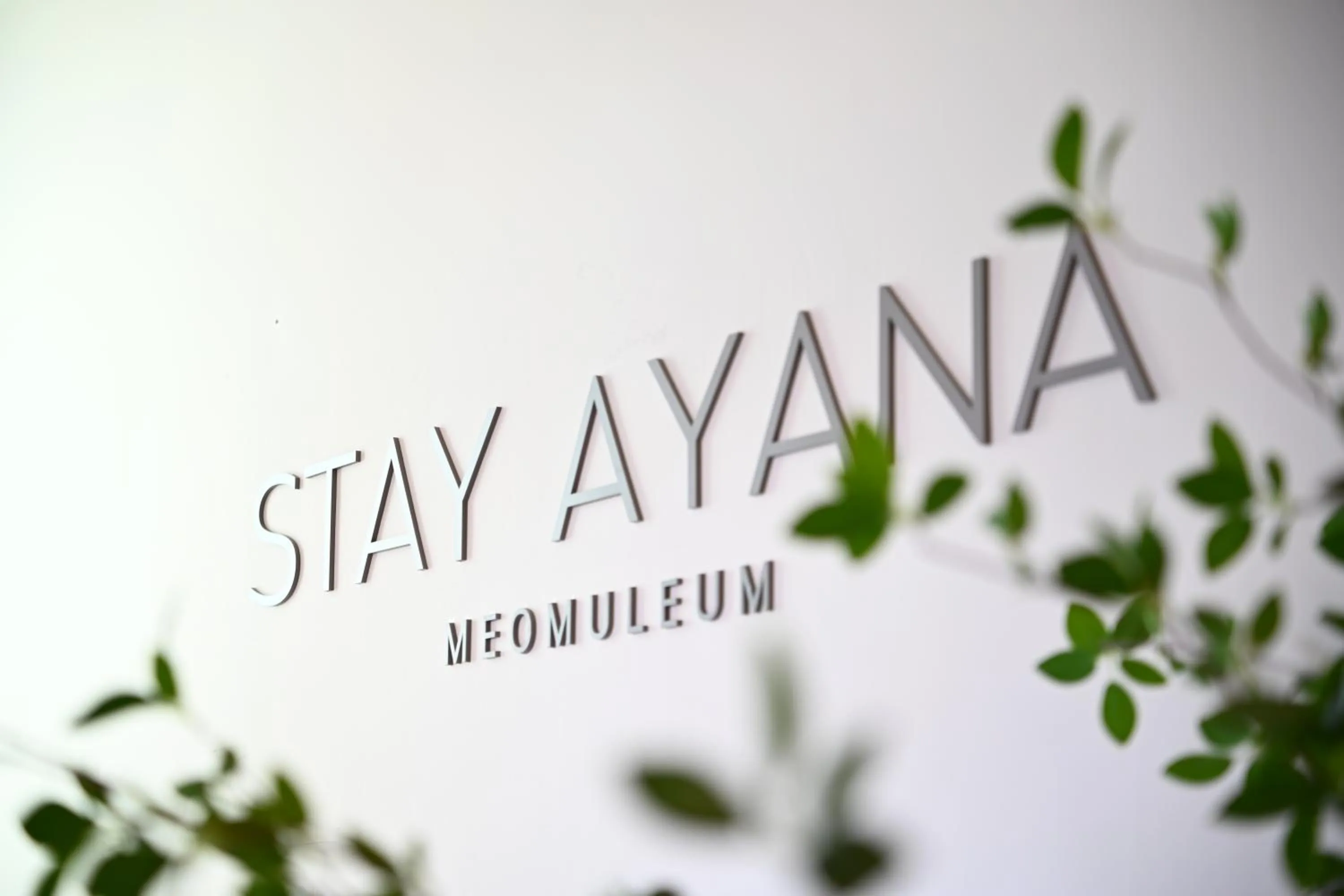 HOTEL STAY AYANA DAEJEON