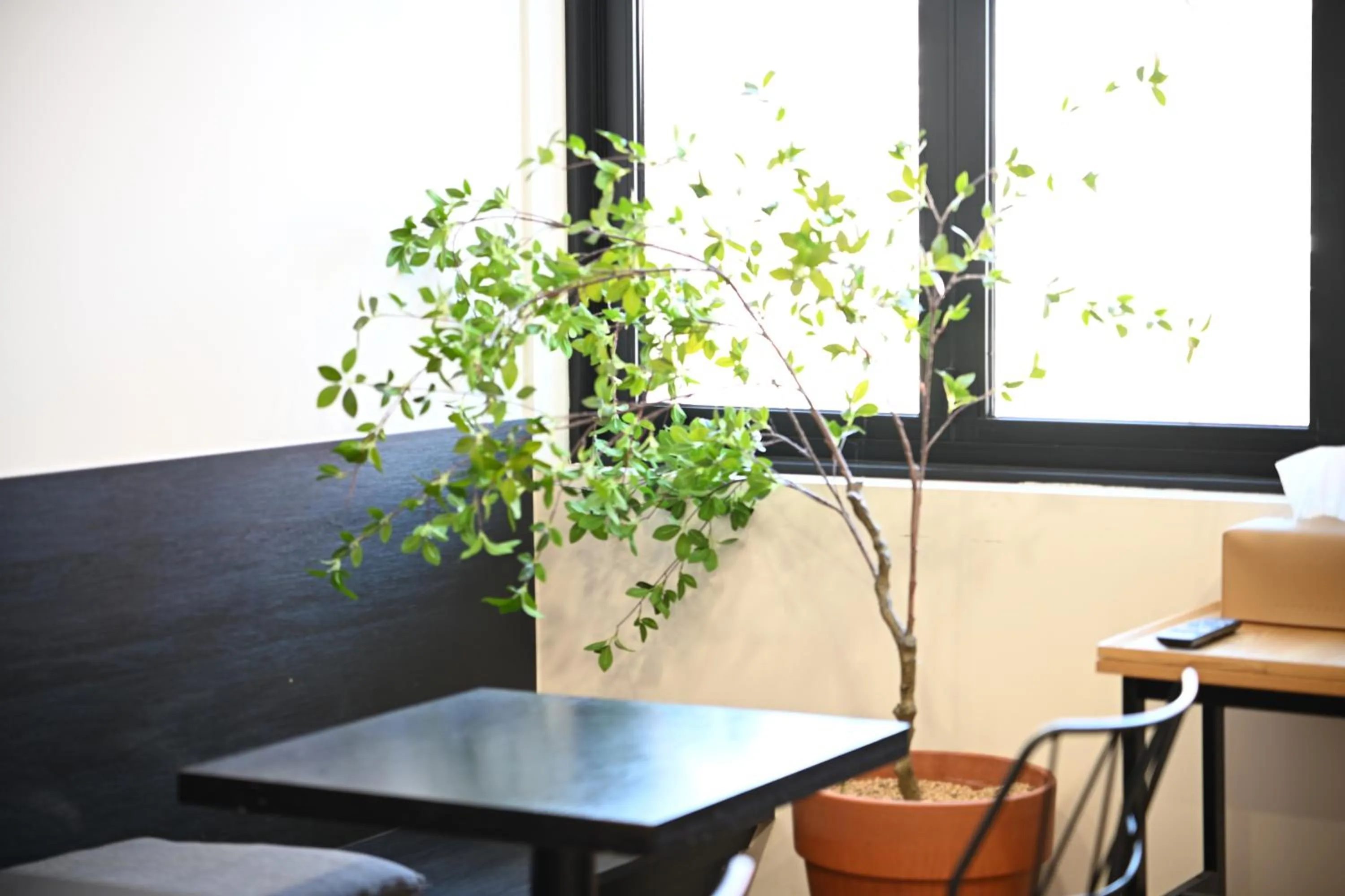 HOTEL STAY AYANA DAEJEON