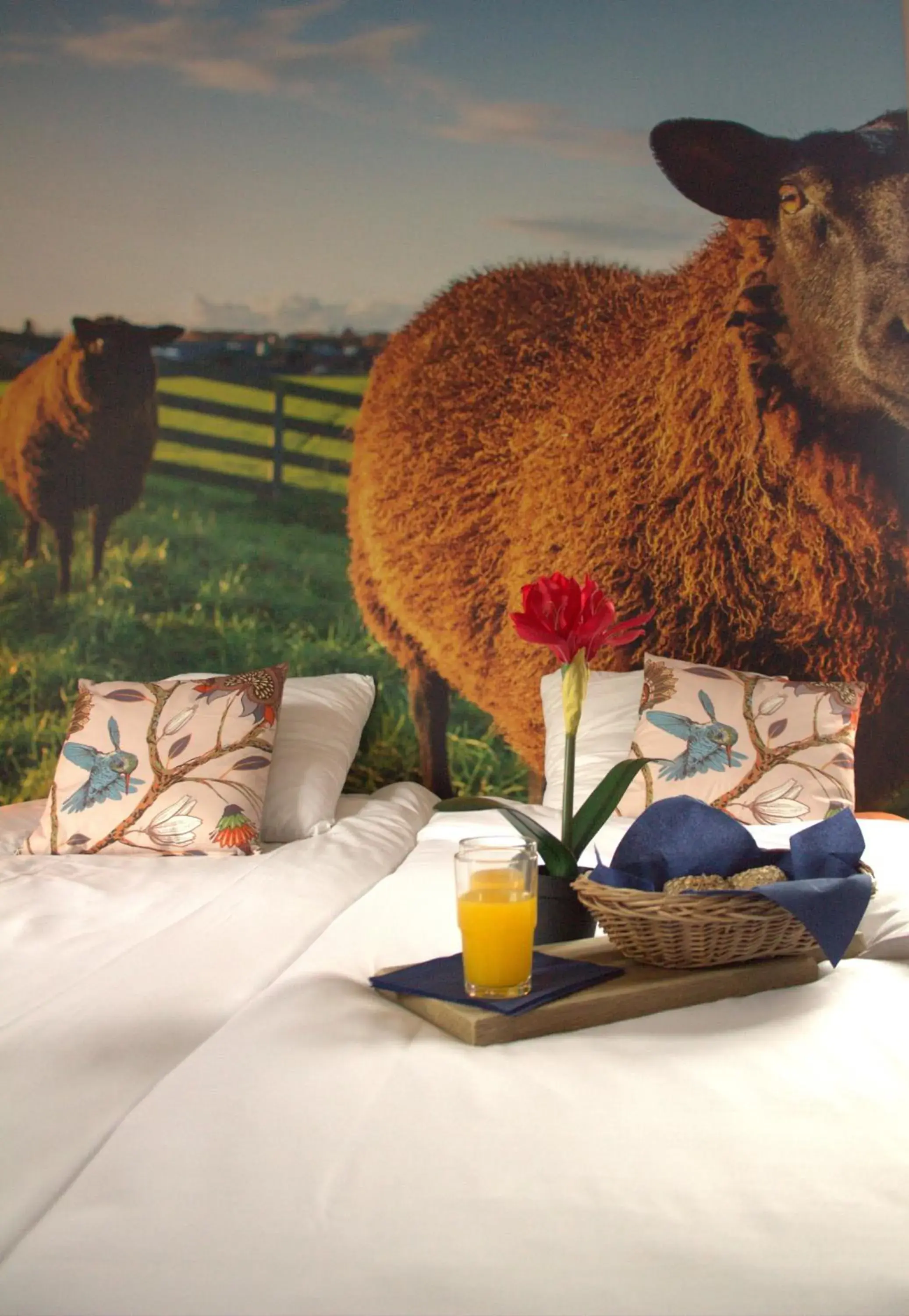 Standard Twin Room in HarTeluk Joure Standard Twin Room in HarTeluk Joure