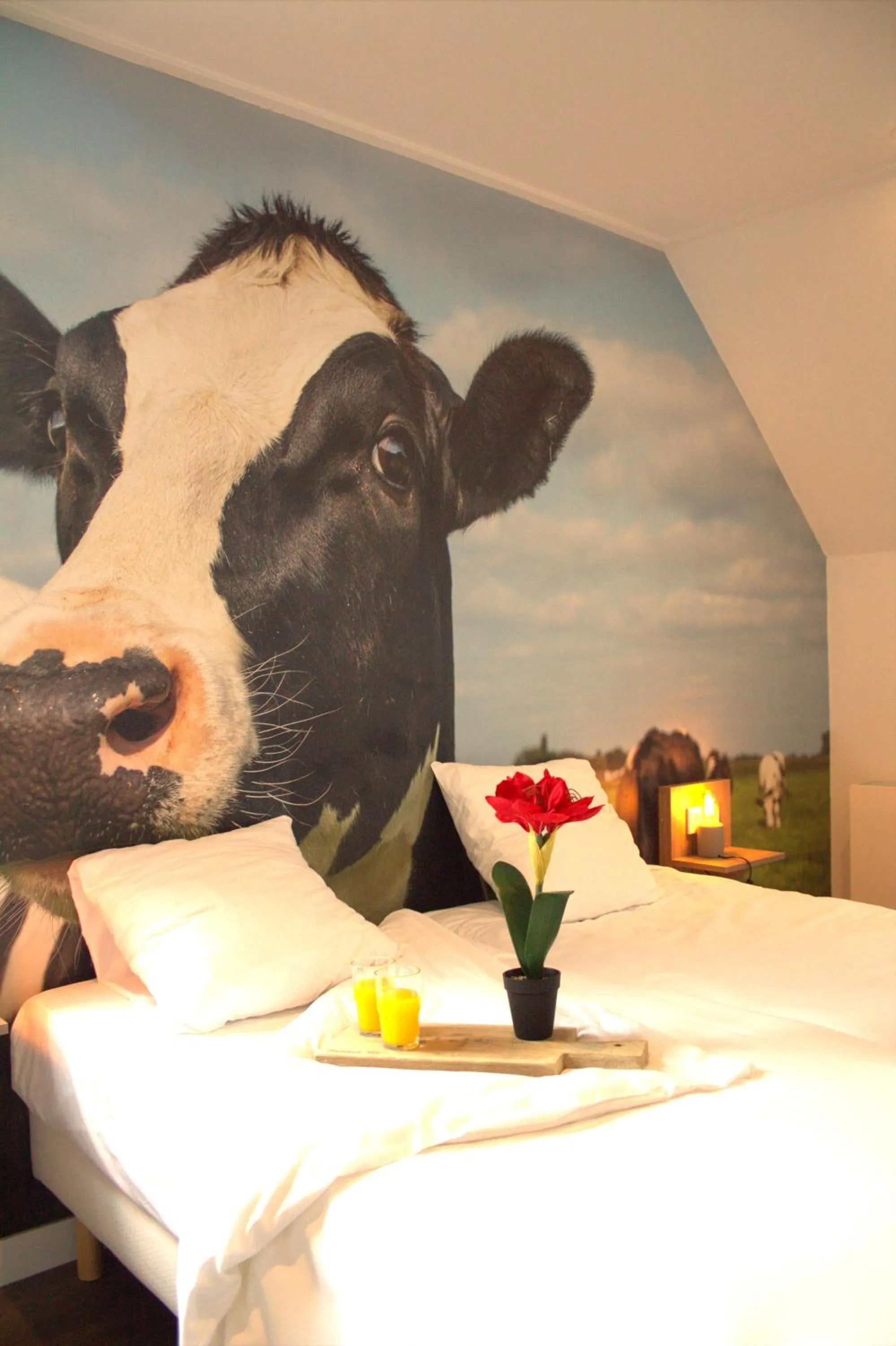 Bed in HarTeluk Joure