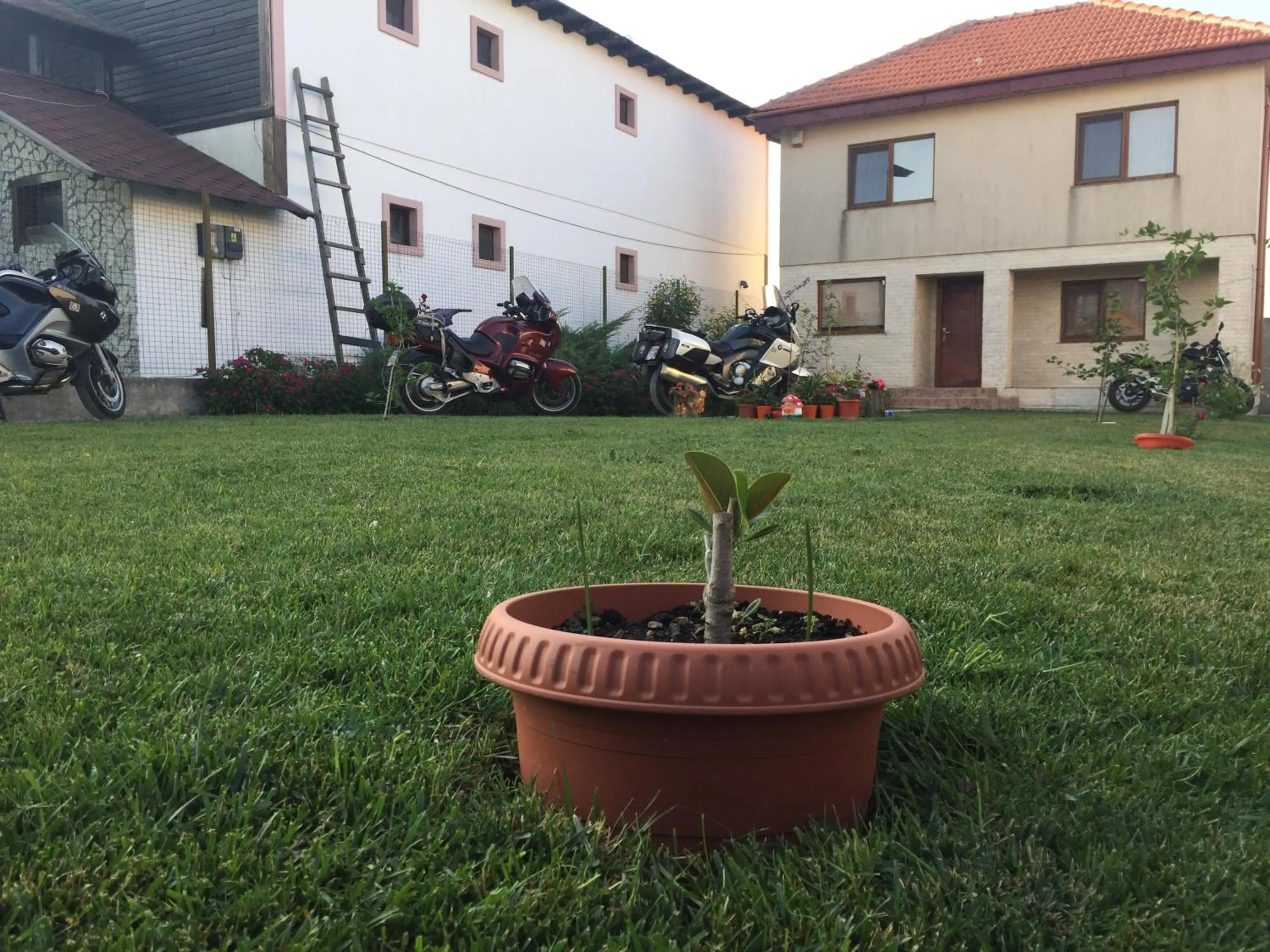 Garden in Casa Noastra