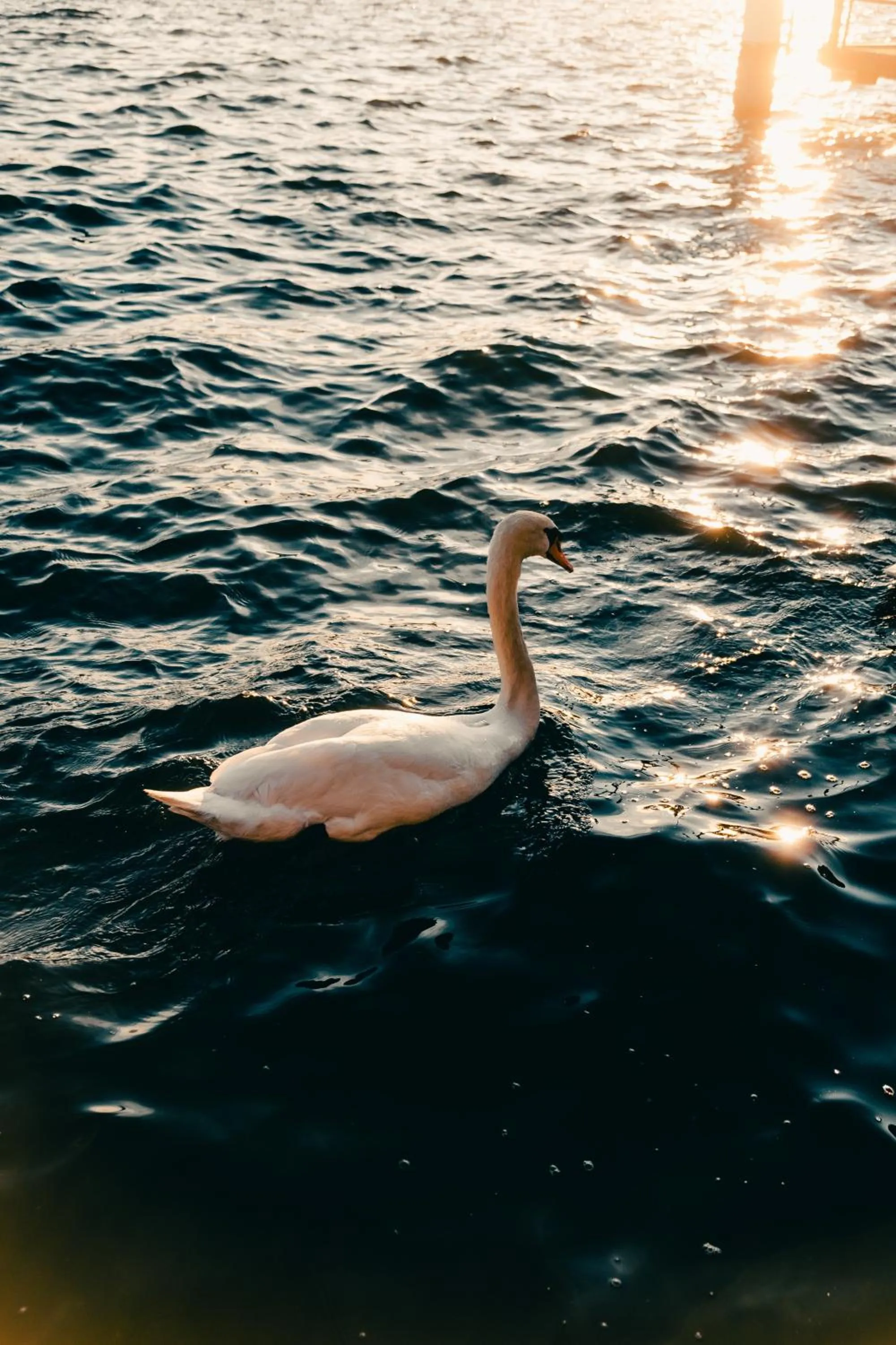 Area and facilities in Hotel Meierhof