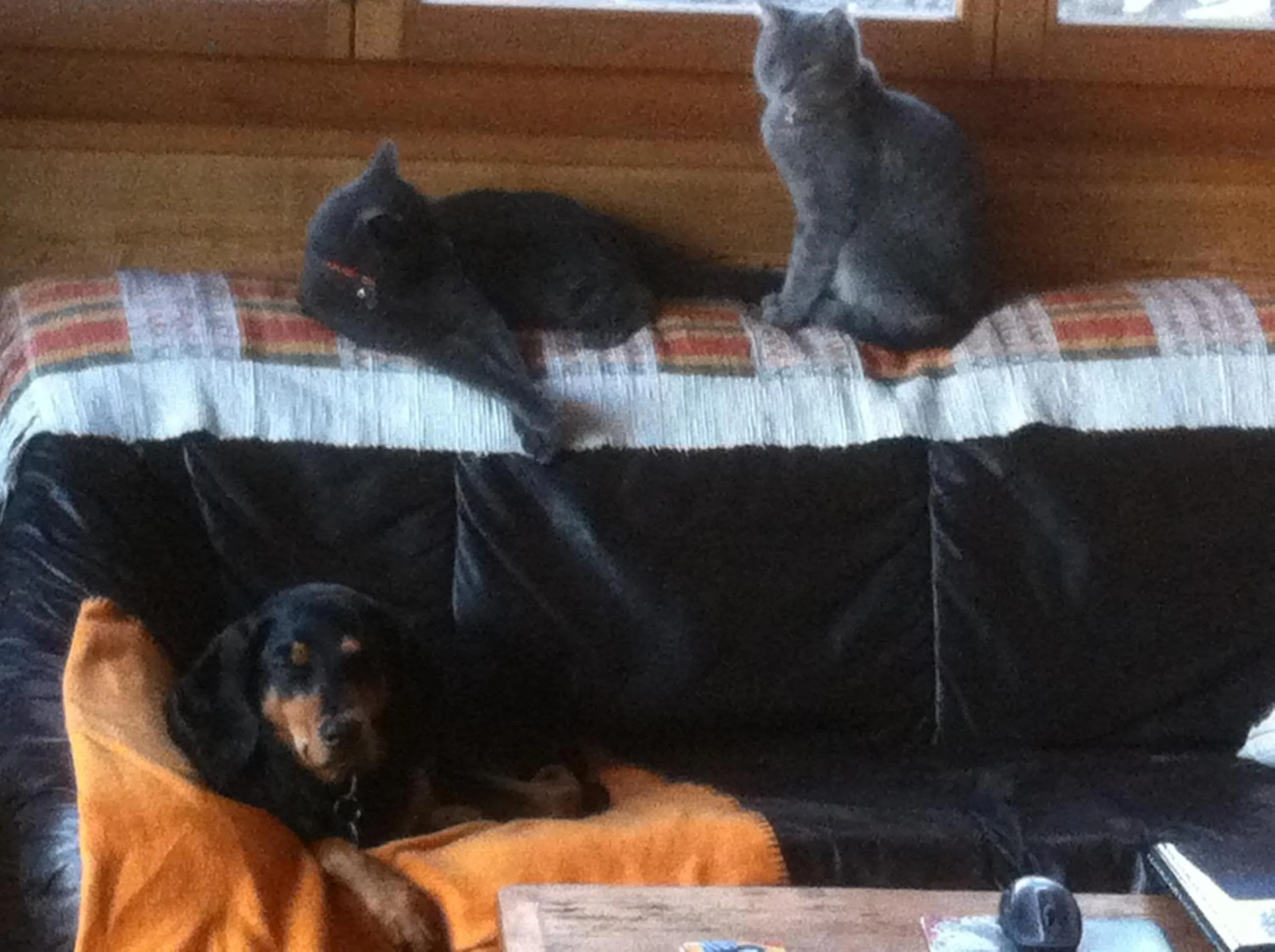 Decorative detail in Les Gîtes du Cairn