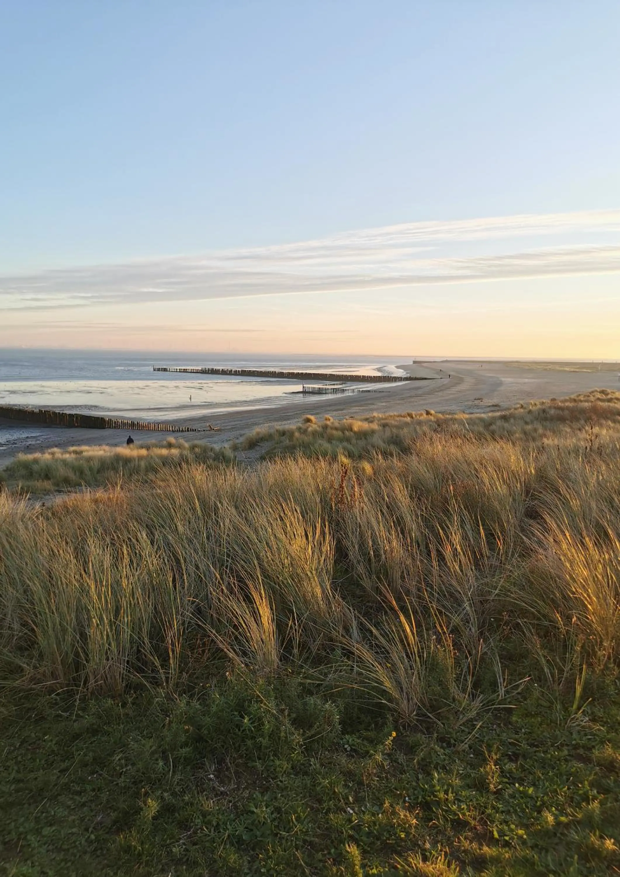 Natural landscape in Hotel de Milliano