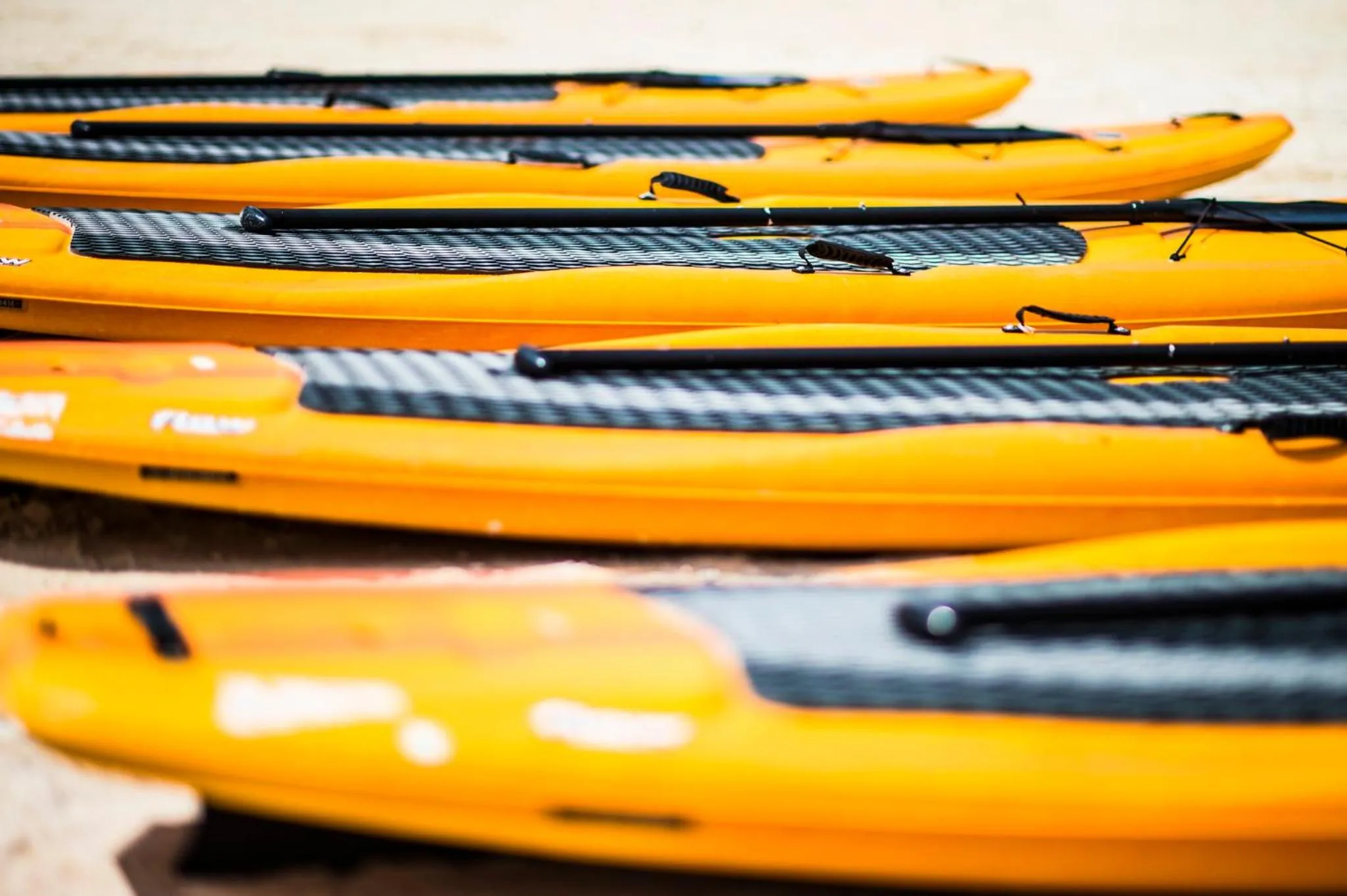 Area and facilities in The Explorean Cozumel All Inclusive