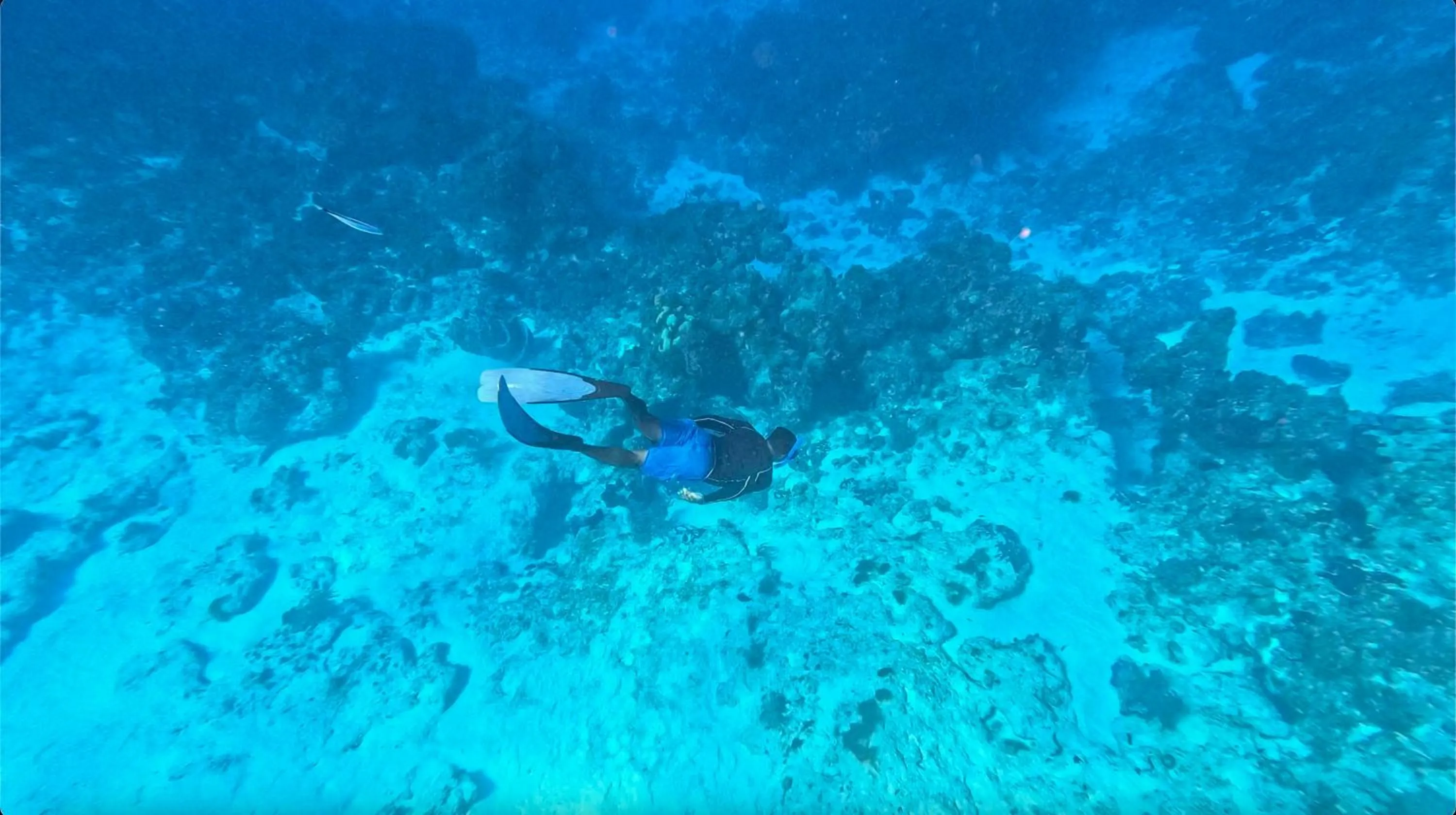 Other in The Explorean Cozumel All Inclusive