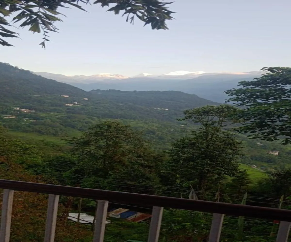 Natural landscape in Norbulingka Retreat