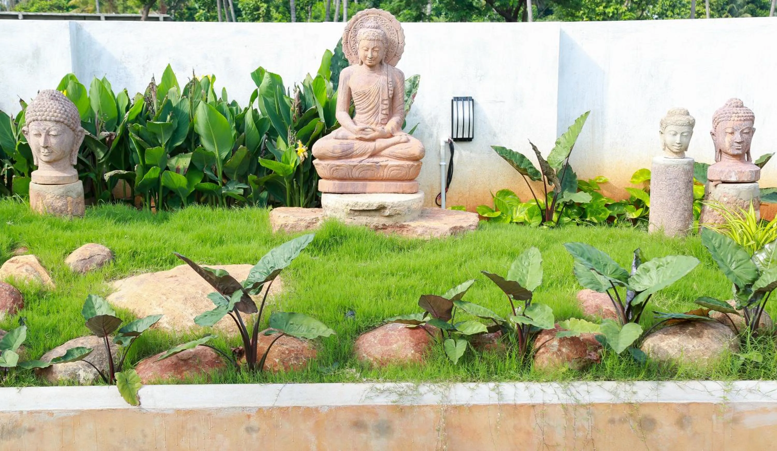 Garden in The Bheemili House