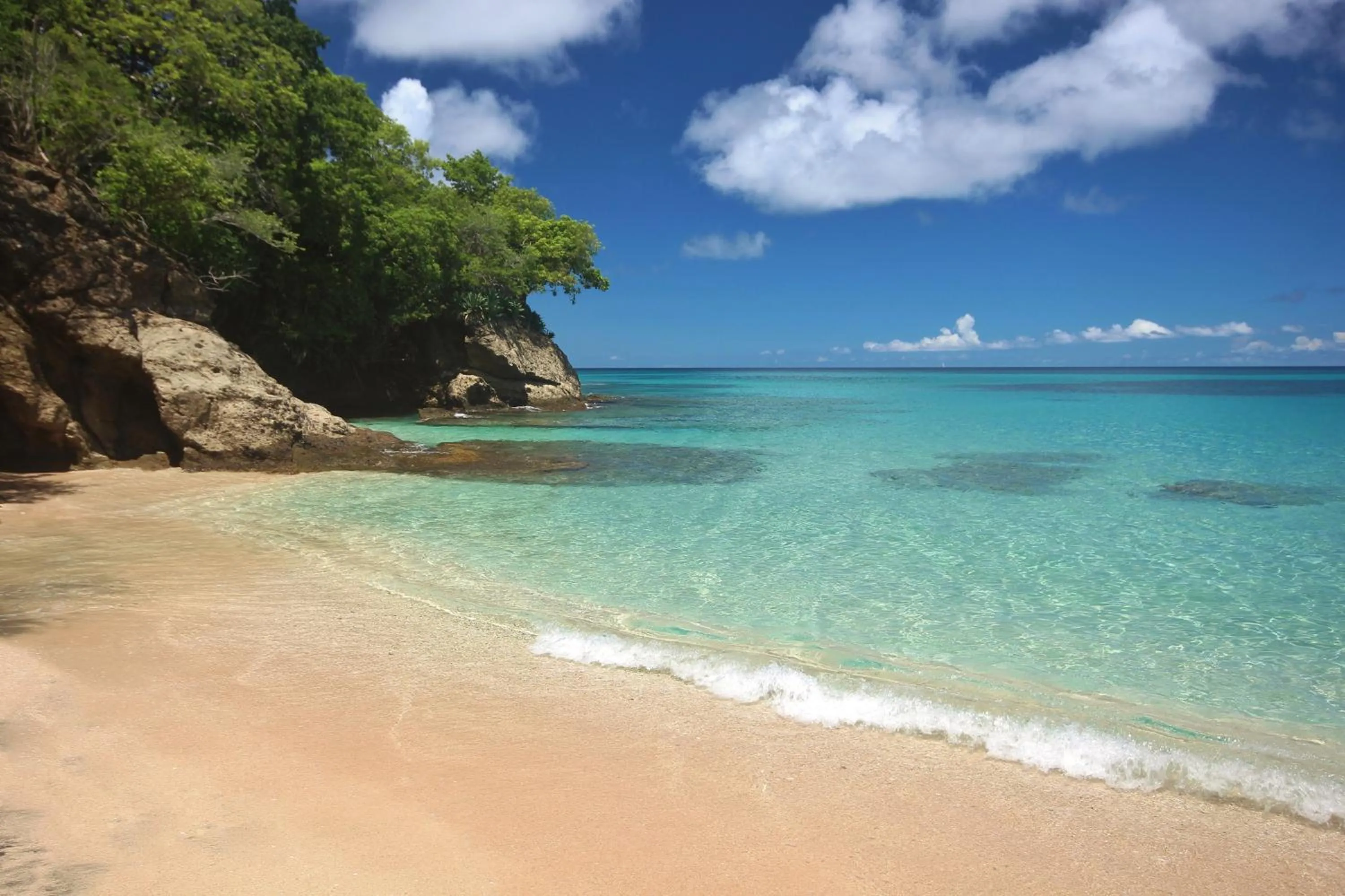 Natural landscape in Tropical Hideaway