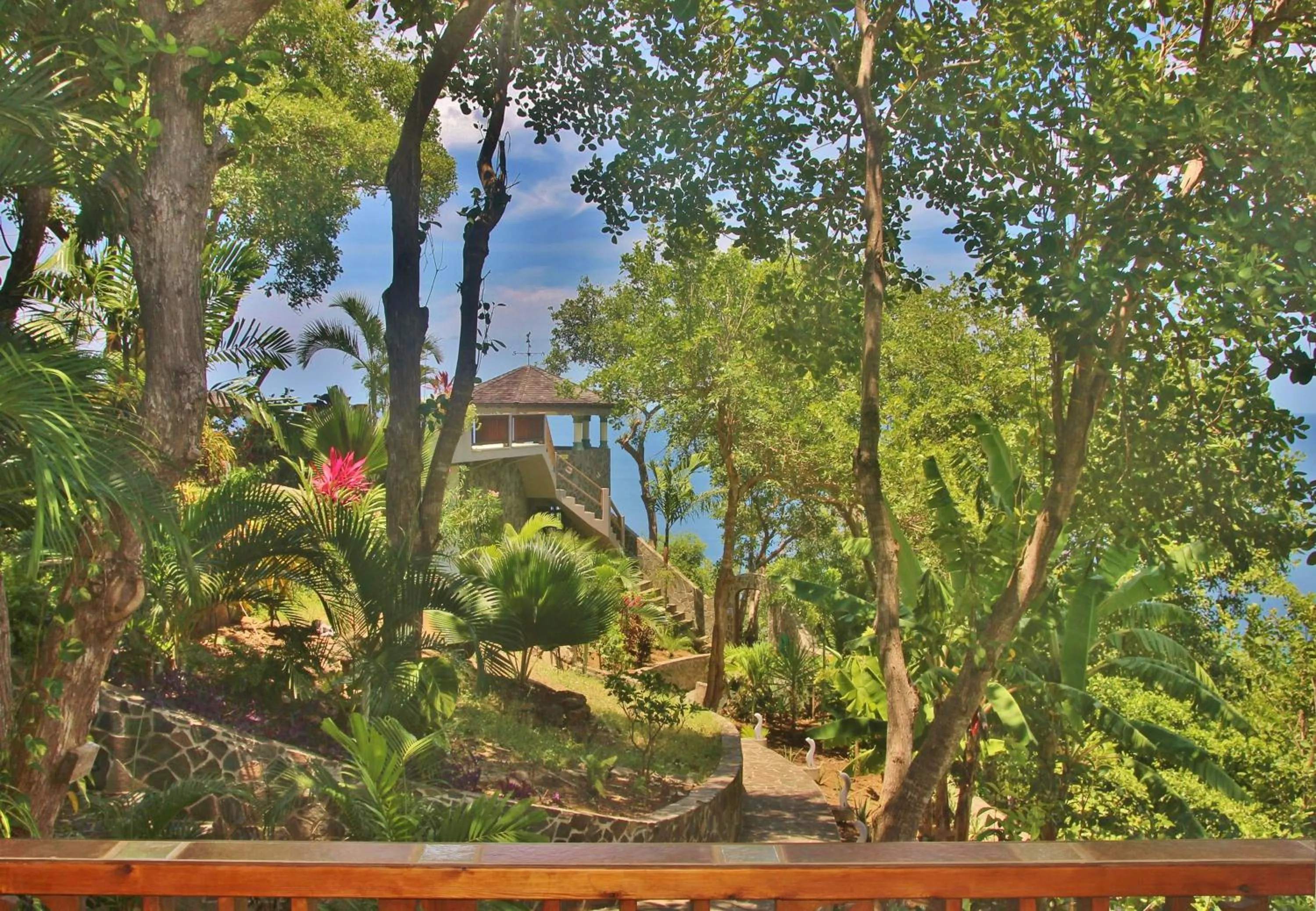Garden view in Tropical Hideaway