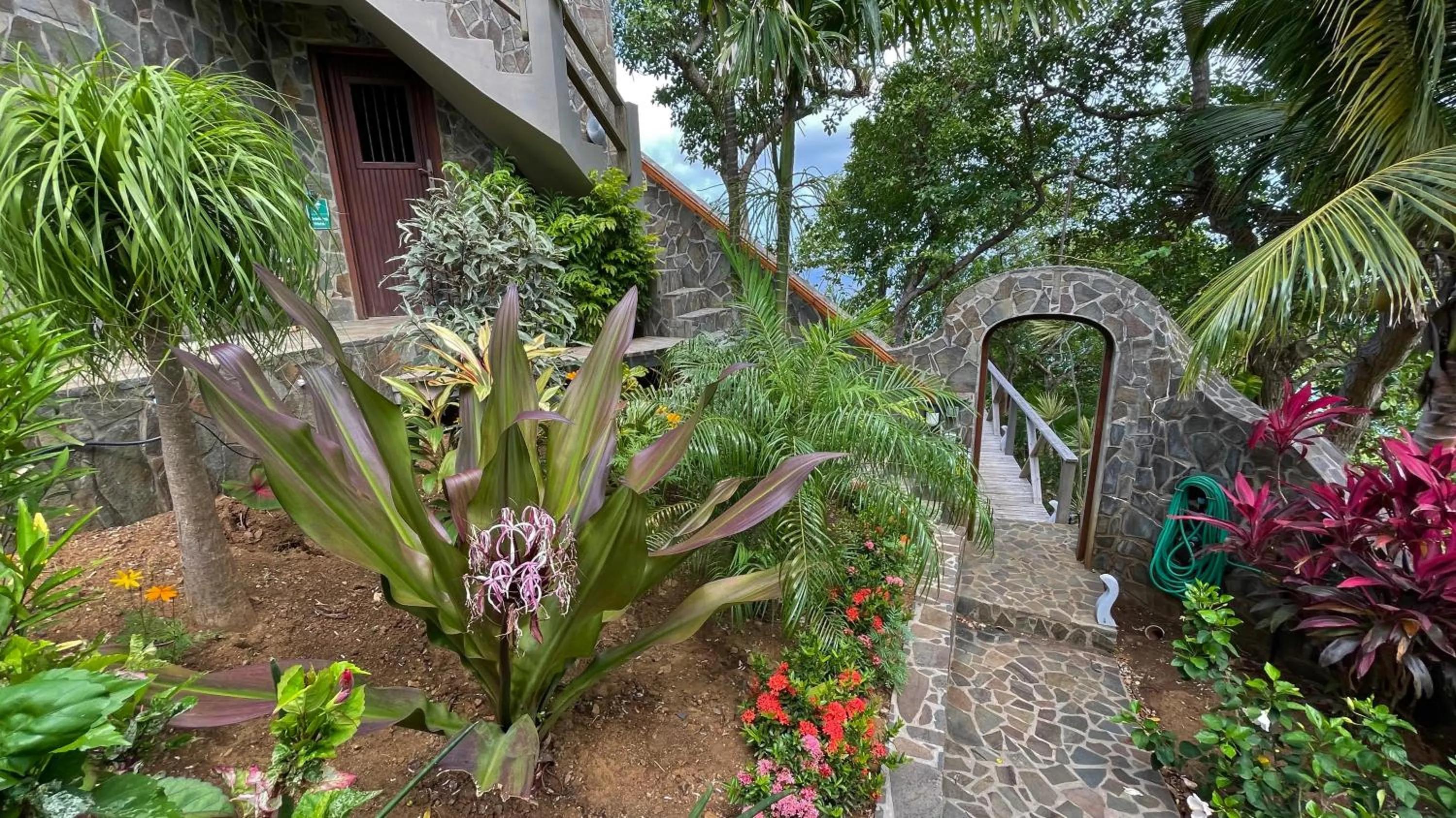 Garden view in Tropical Hideaway
