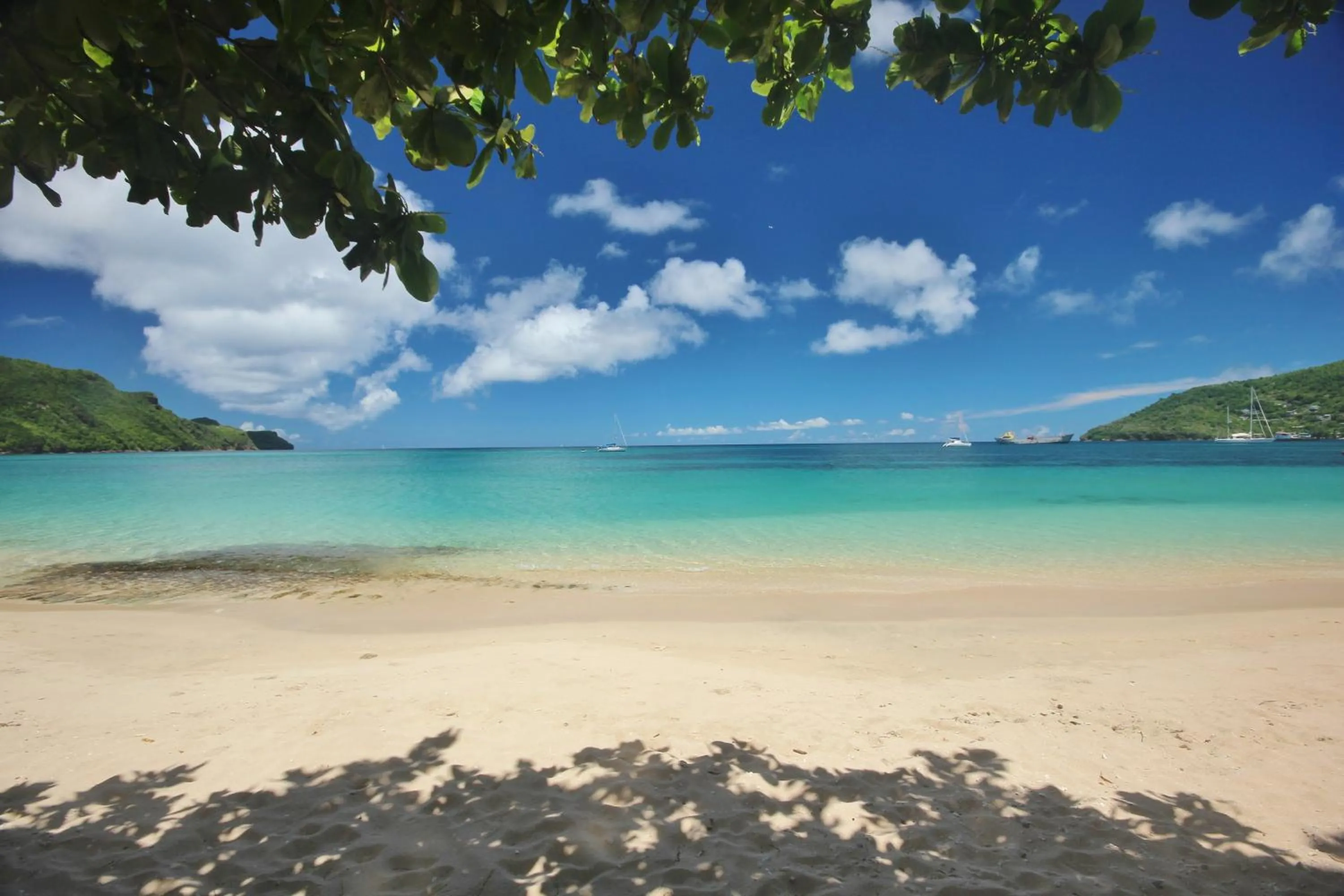 Natural landscape in Tropical Hideaway