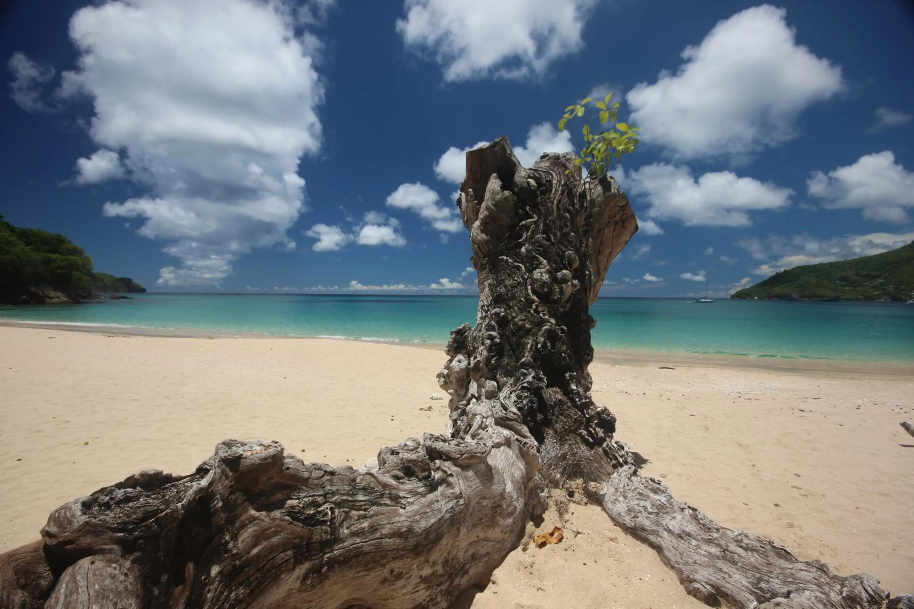 Natural landscape in Tropical Hideaway