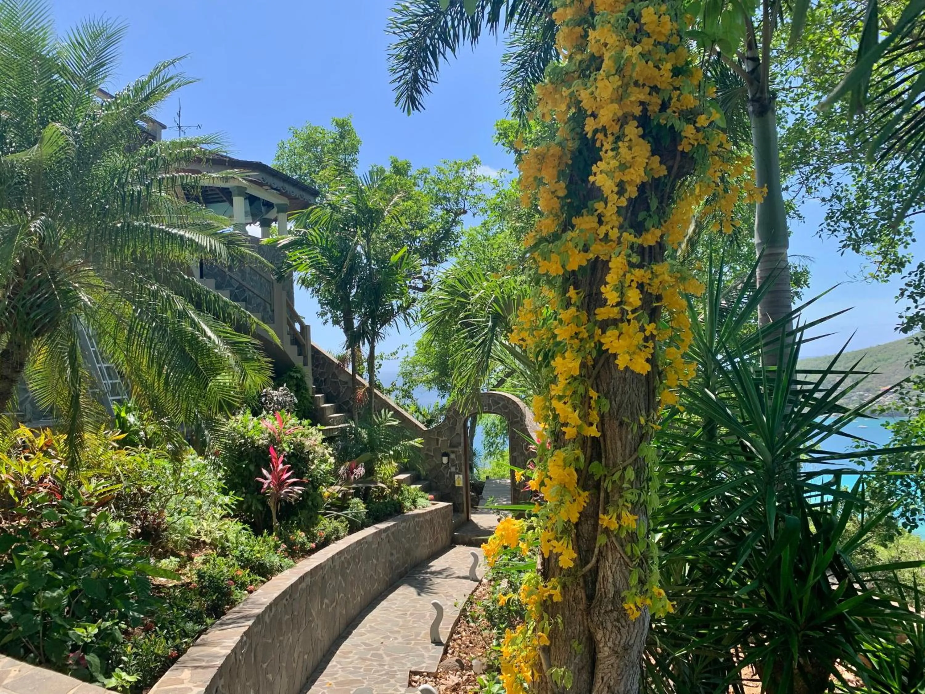 Natural landscape in Tropical Hideaway