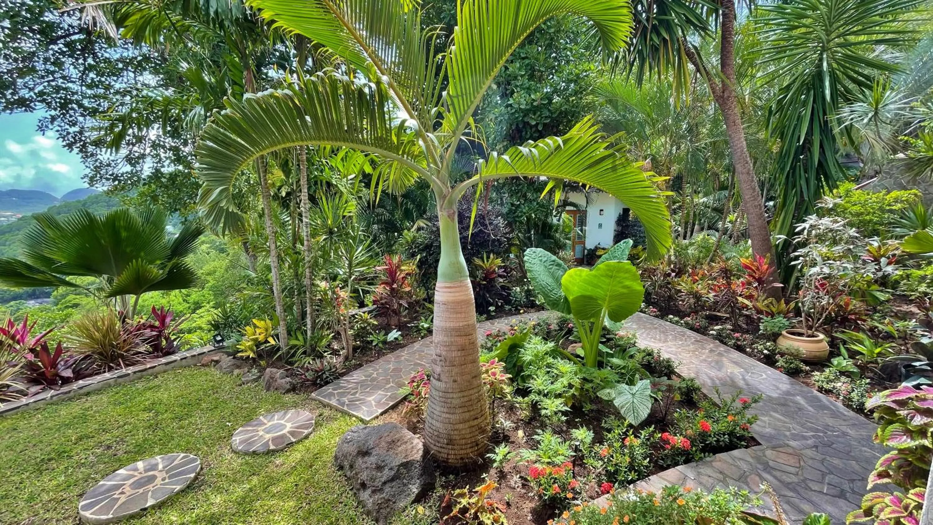 Property building in Tropical Hideaway