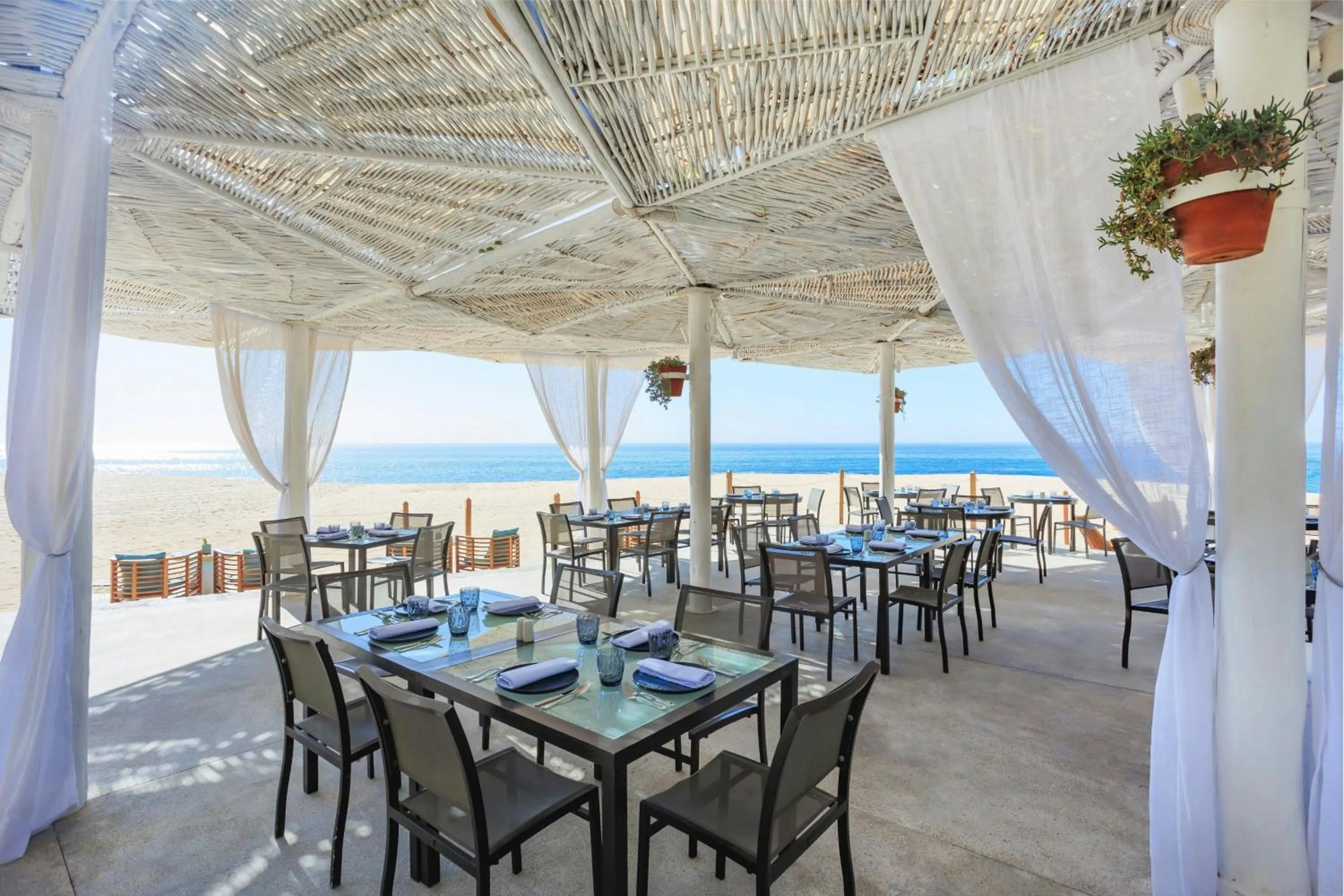 Restaurant/places to eat in Hacienda del Mar Los Cabos, an Autograph Collection All-Inclusive Resort